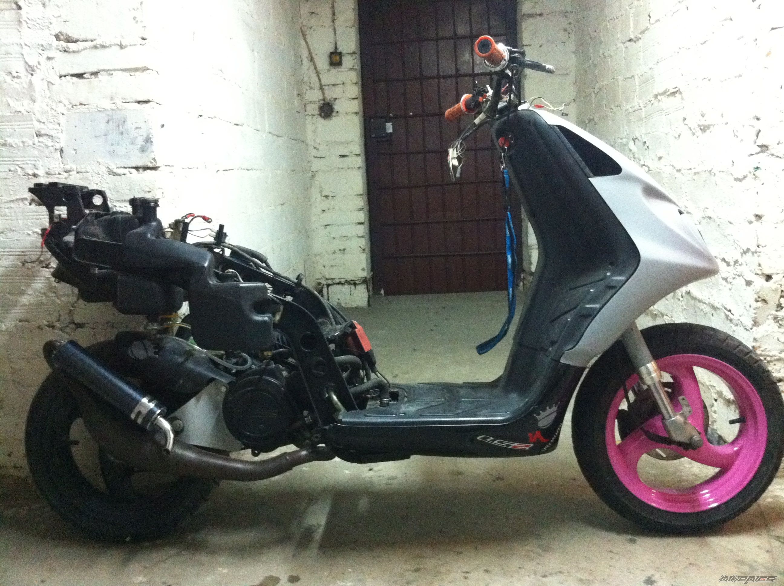 Photo 2534121