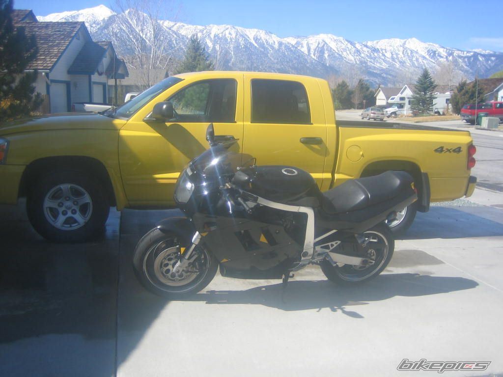 Photo 2534157
