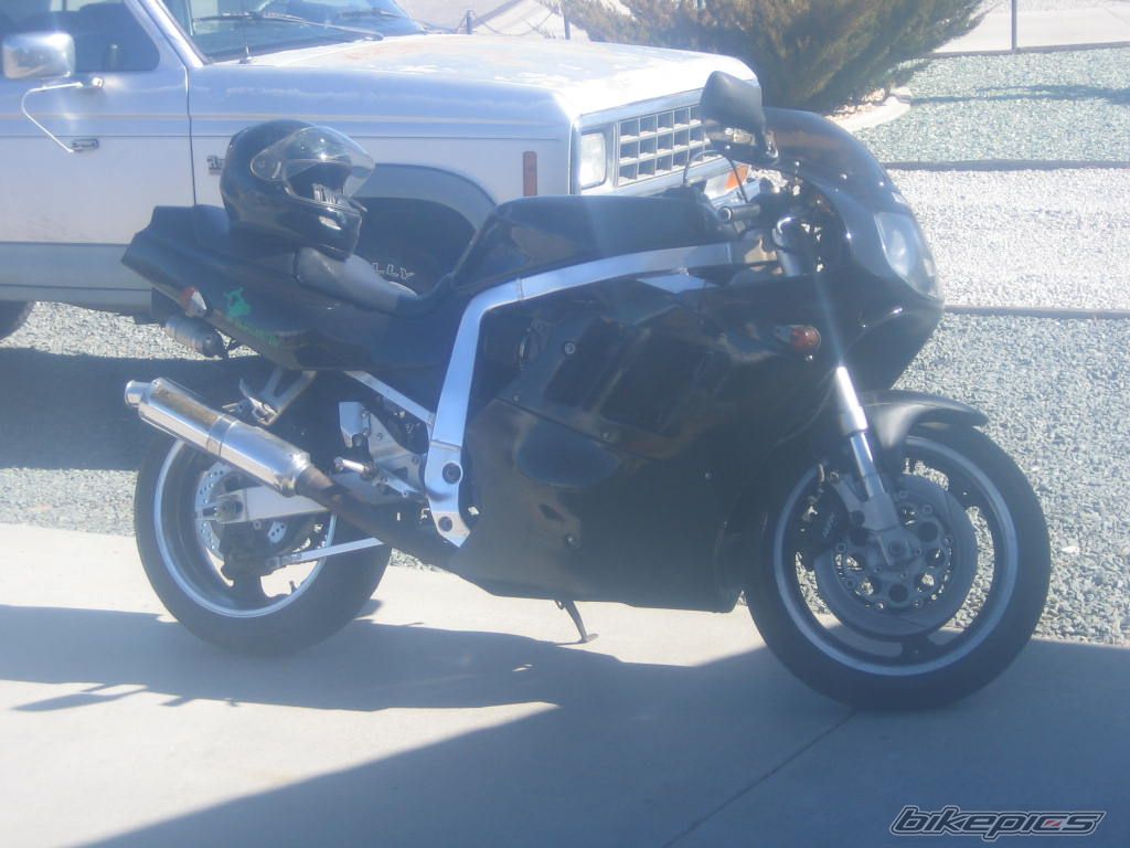 Photo 2534159