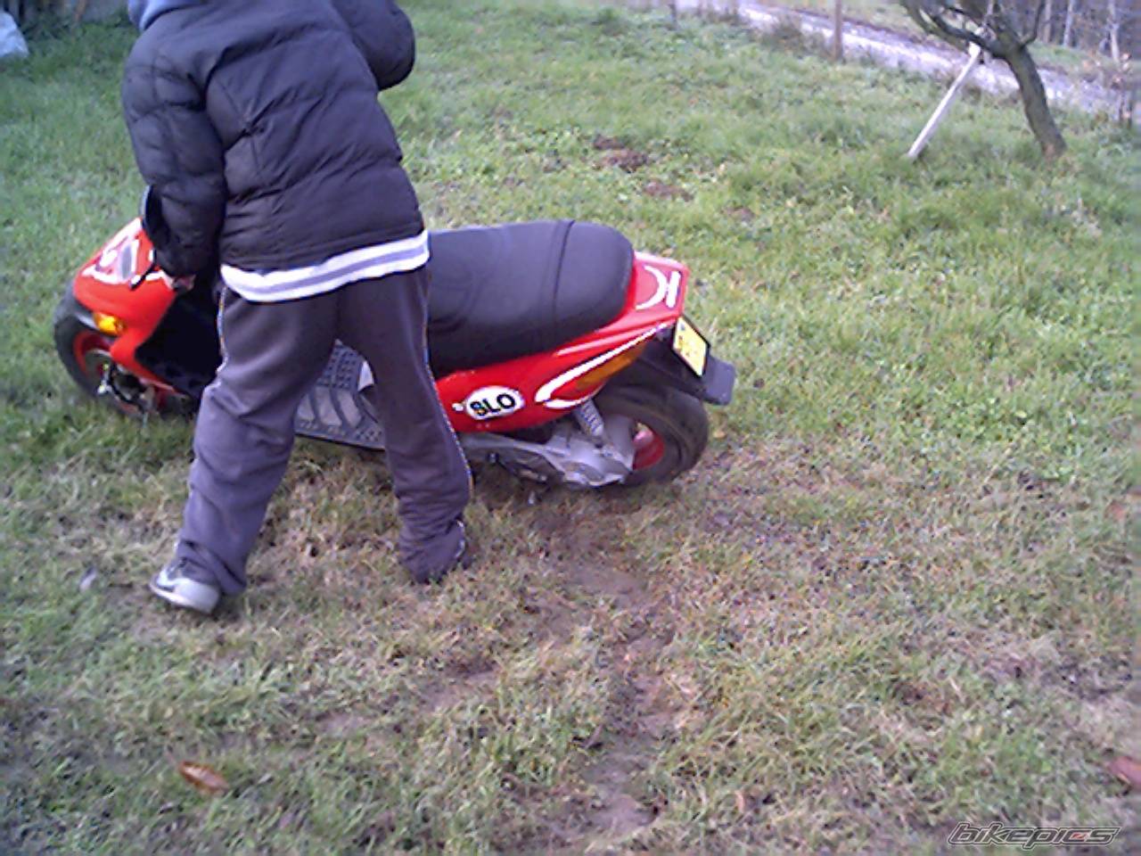 Photo 253419