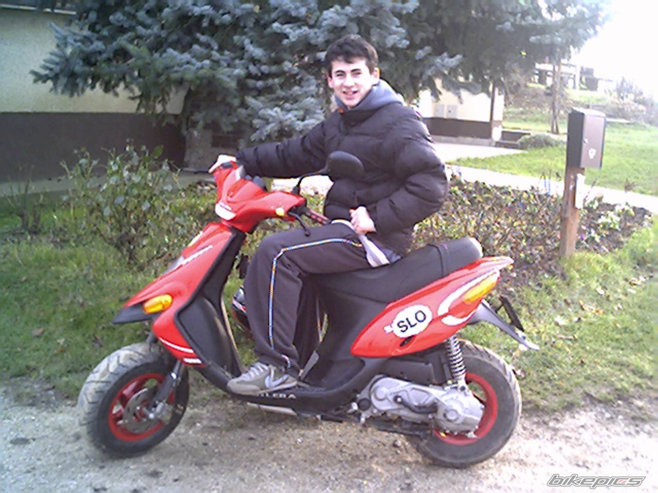 Photo 253420