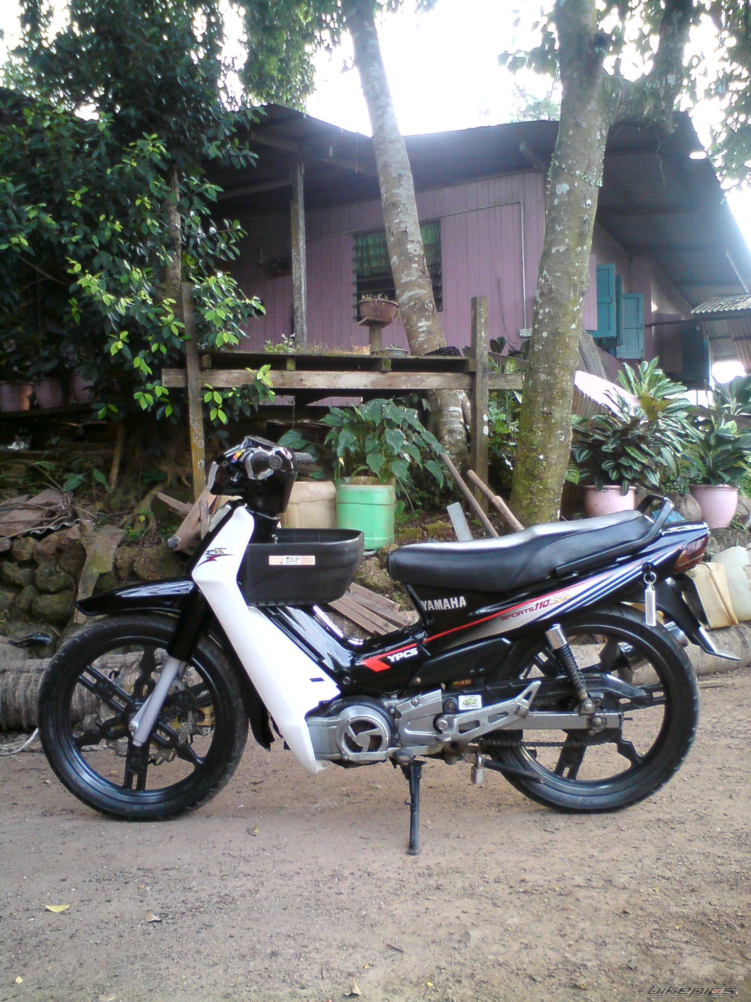 Photo 2534260