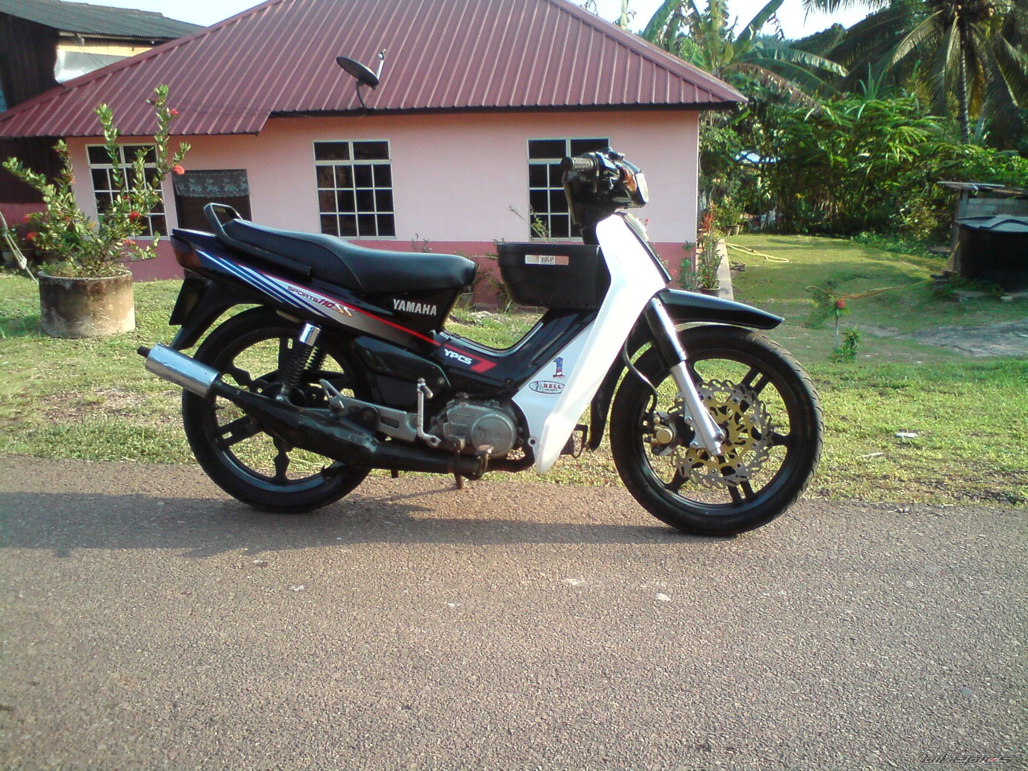 Photo 2534263