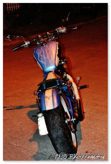 Photo 2534267
