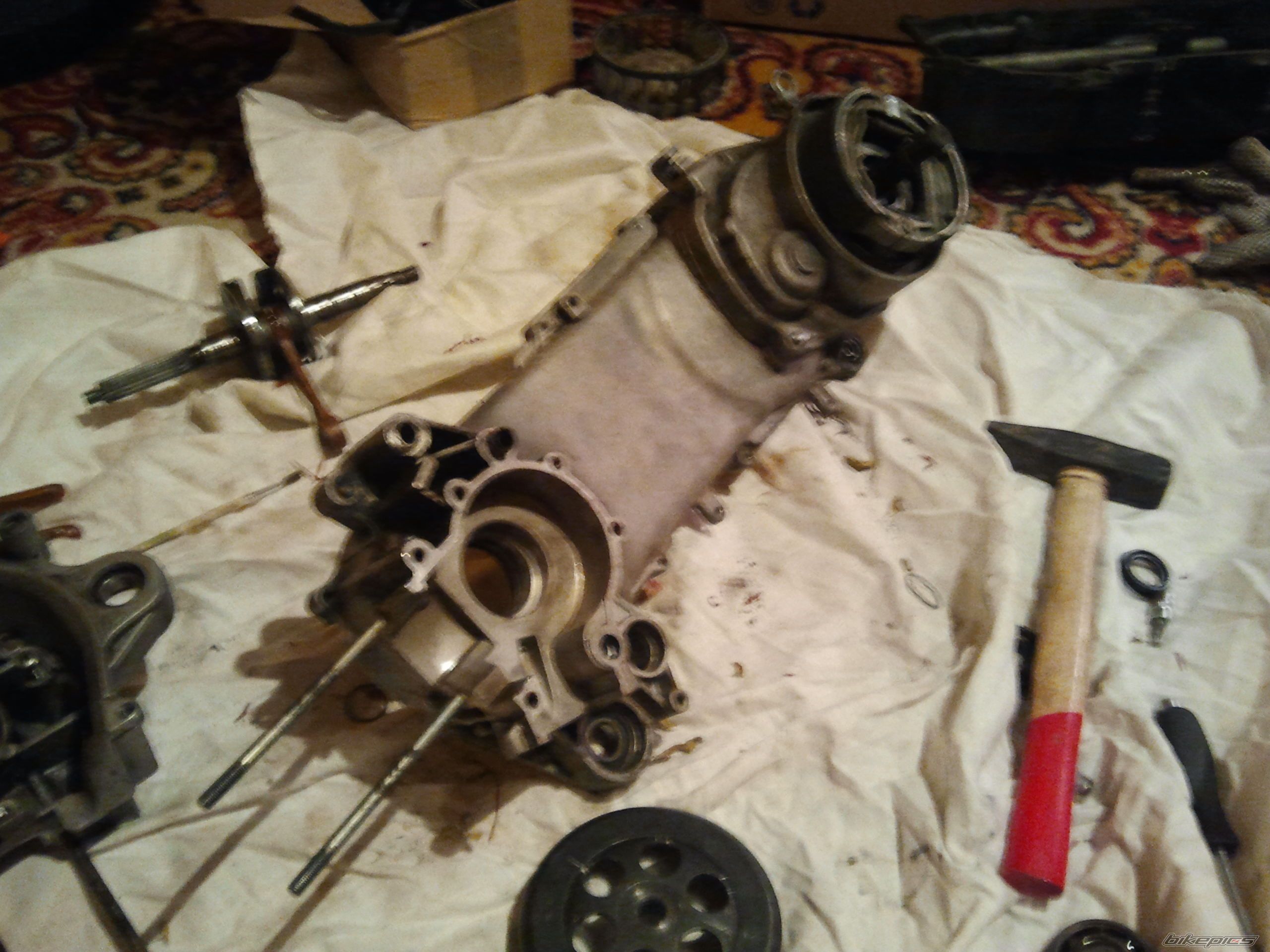 Photo 2534364