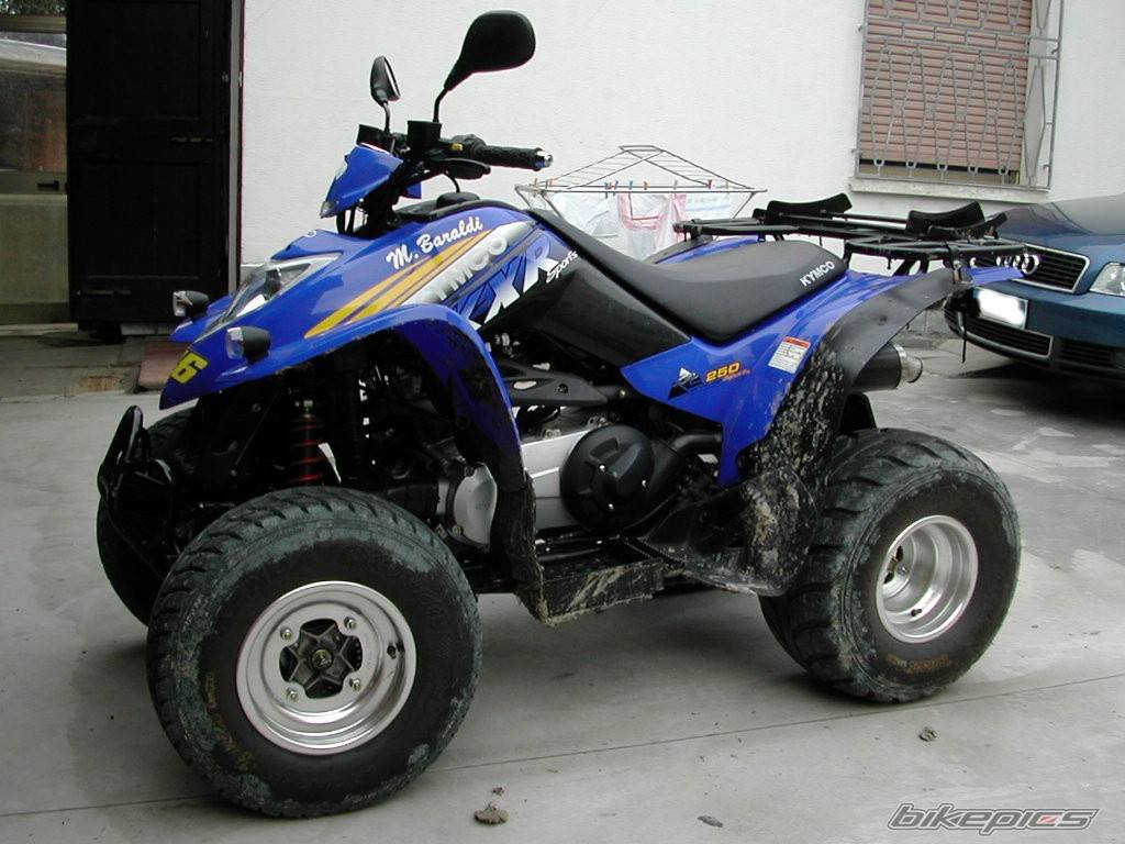 Photo 253441