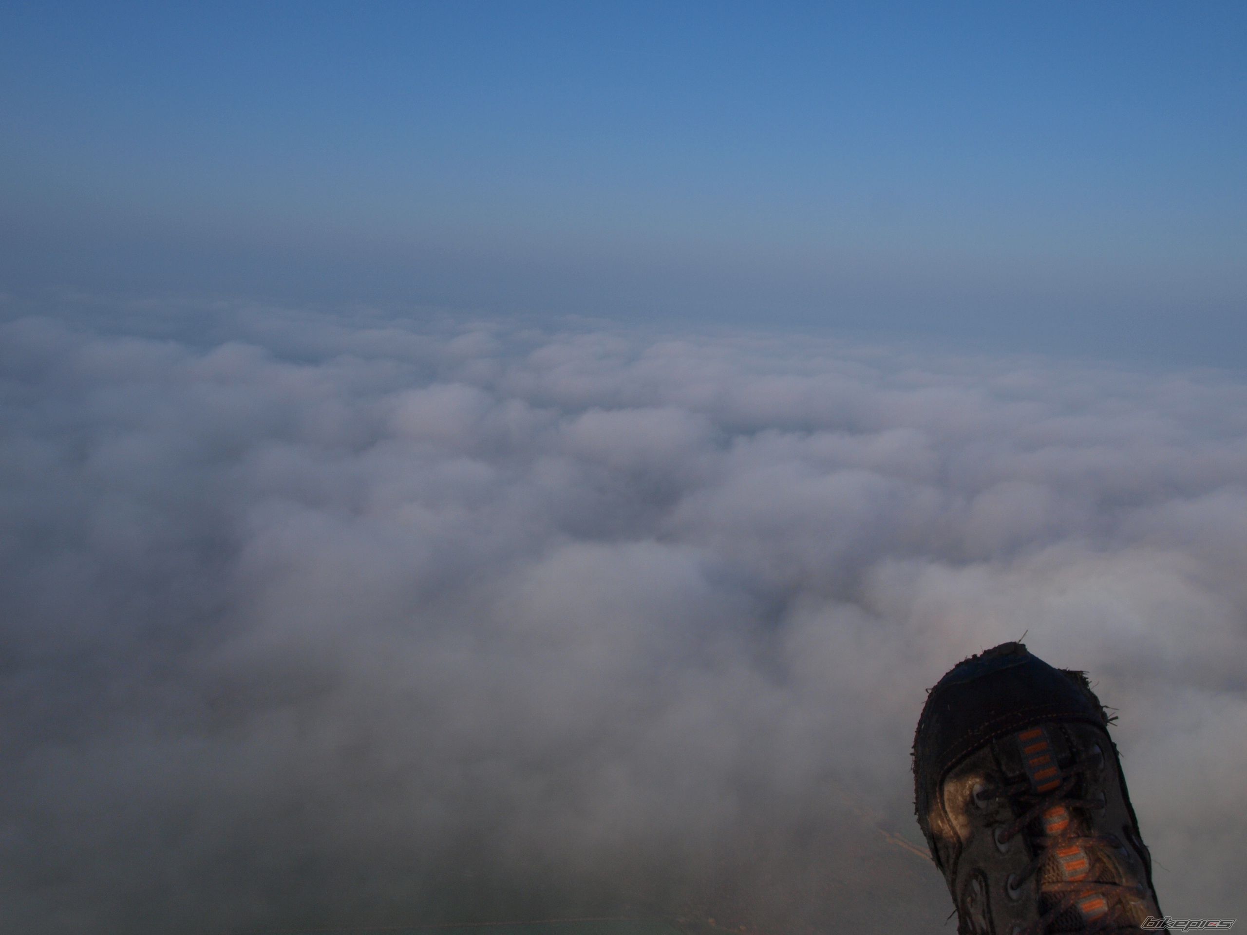 Photo 2534420