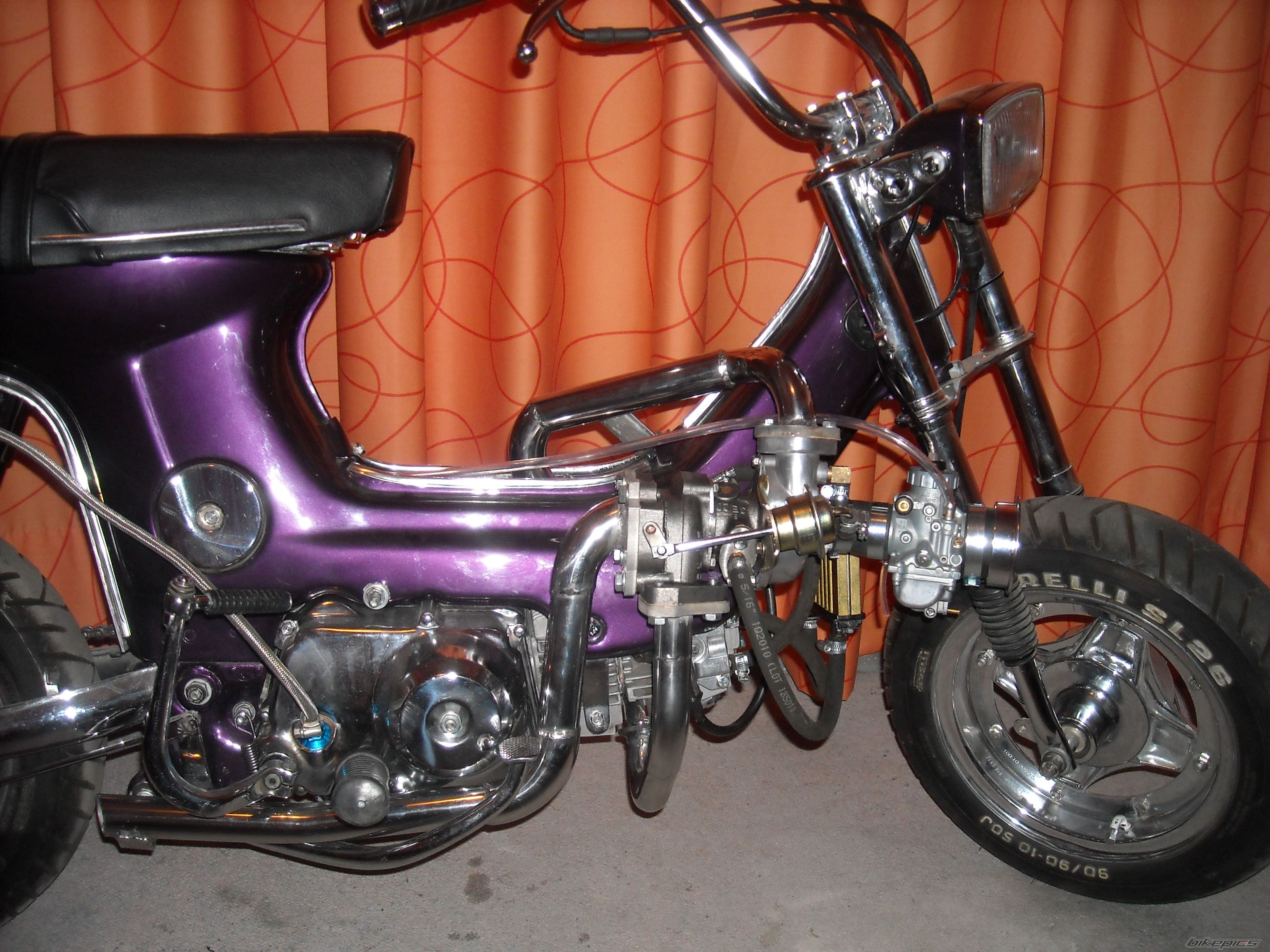 Photo 2534530