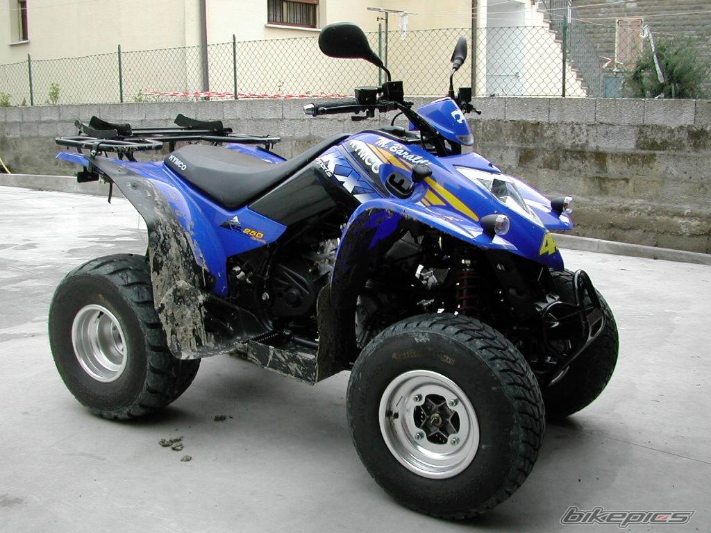 Photo 253454