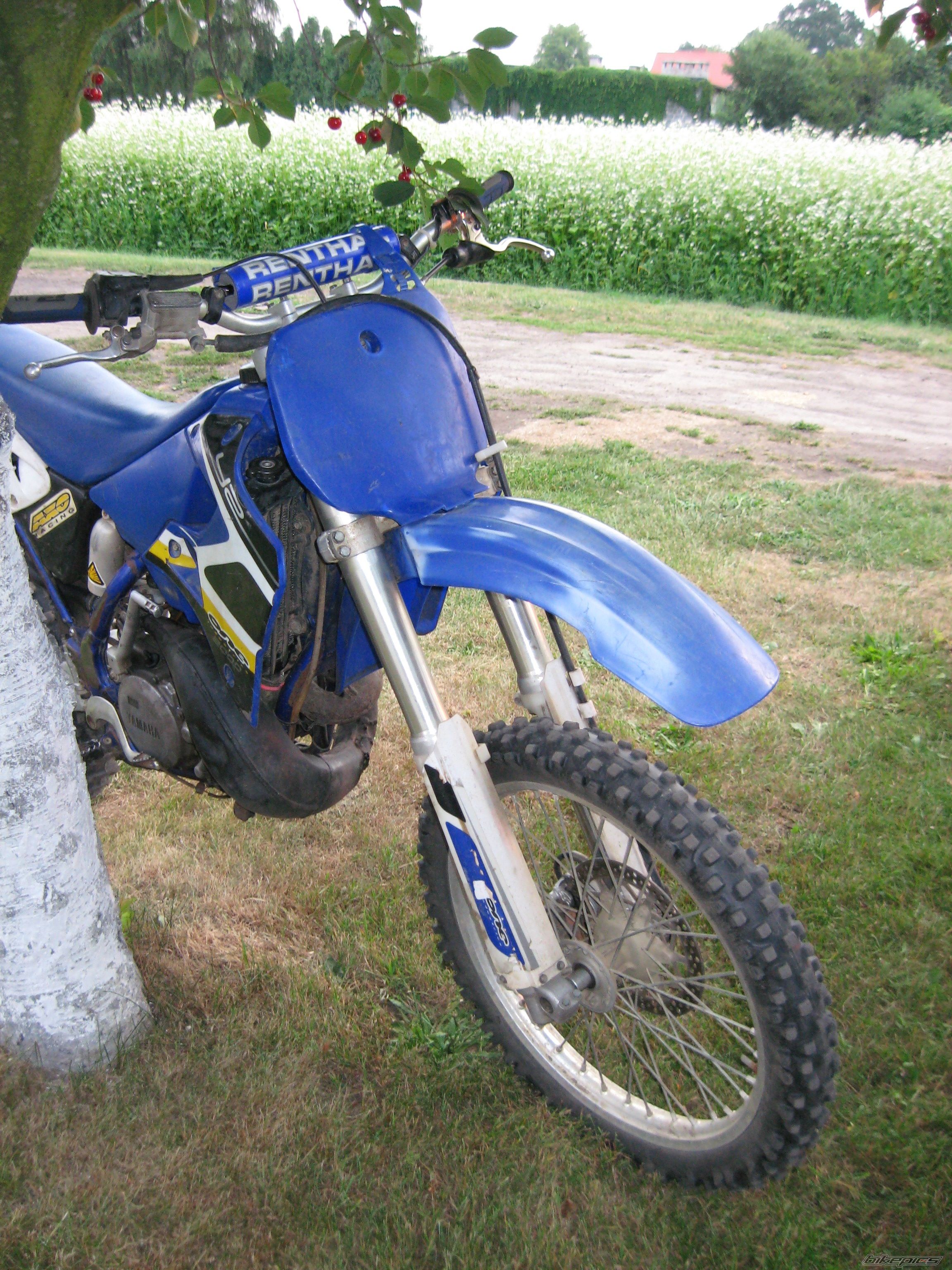 Photo 2534553