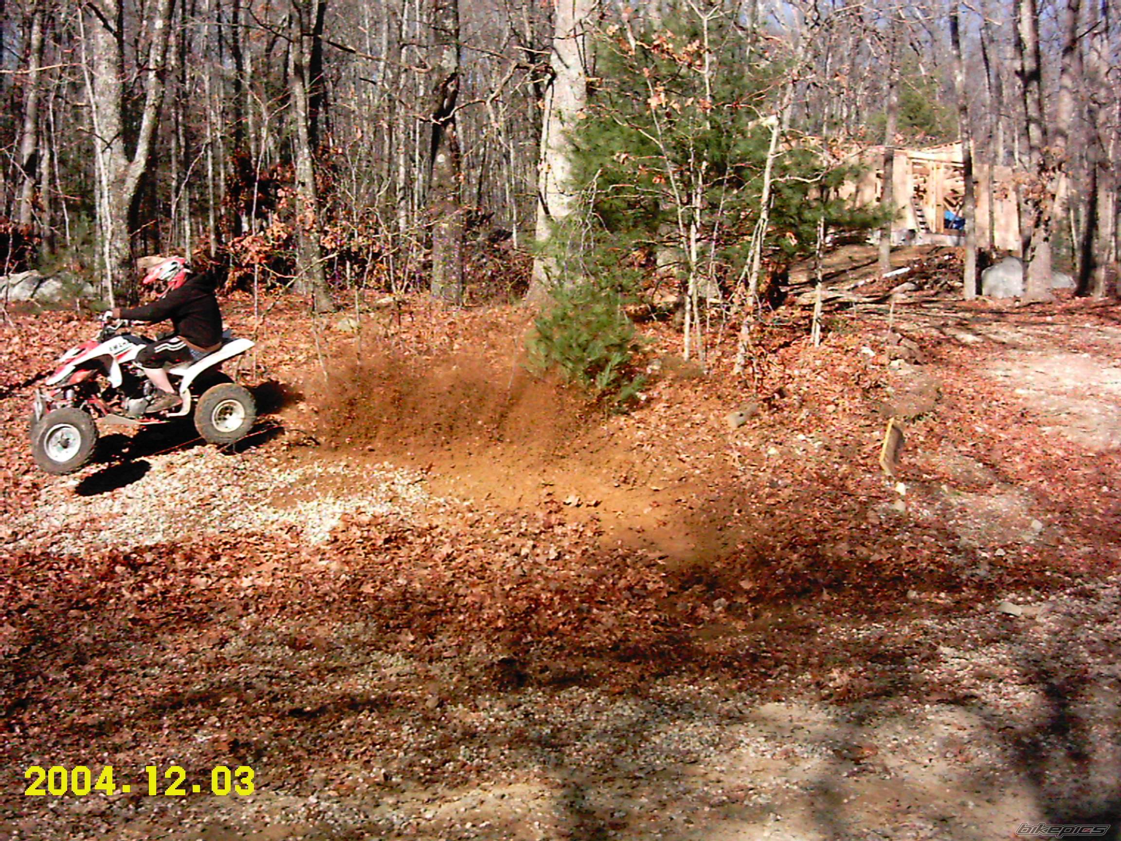 Photo 253458
