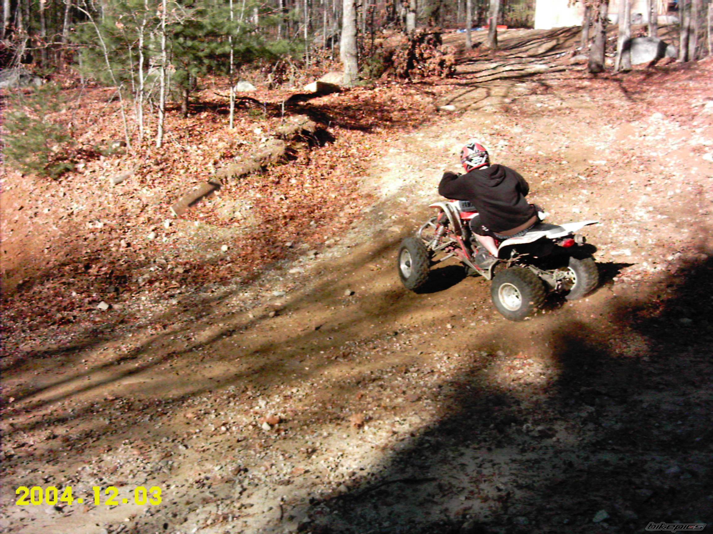Photo 253462