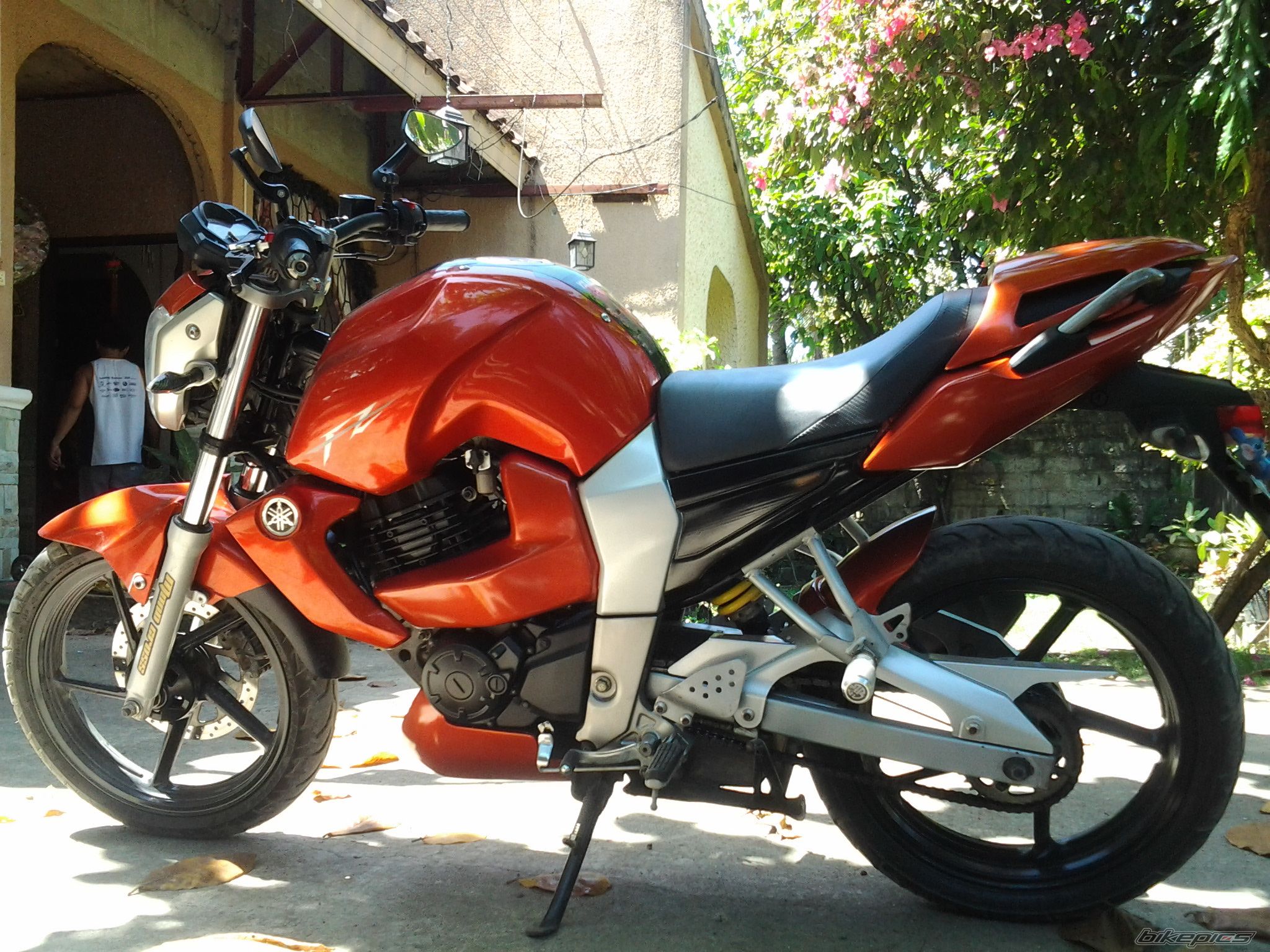 Photo 2534634