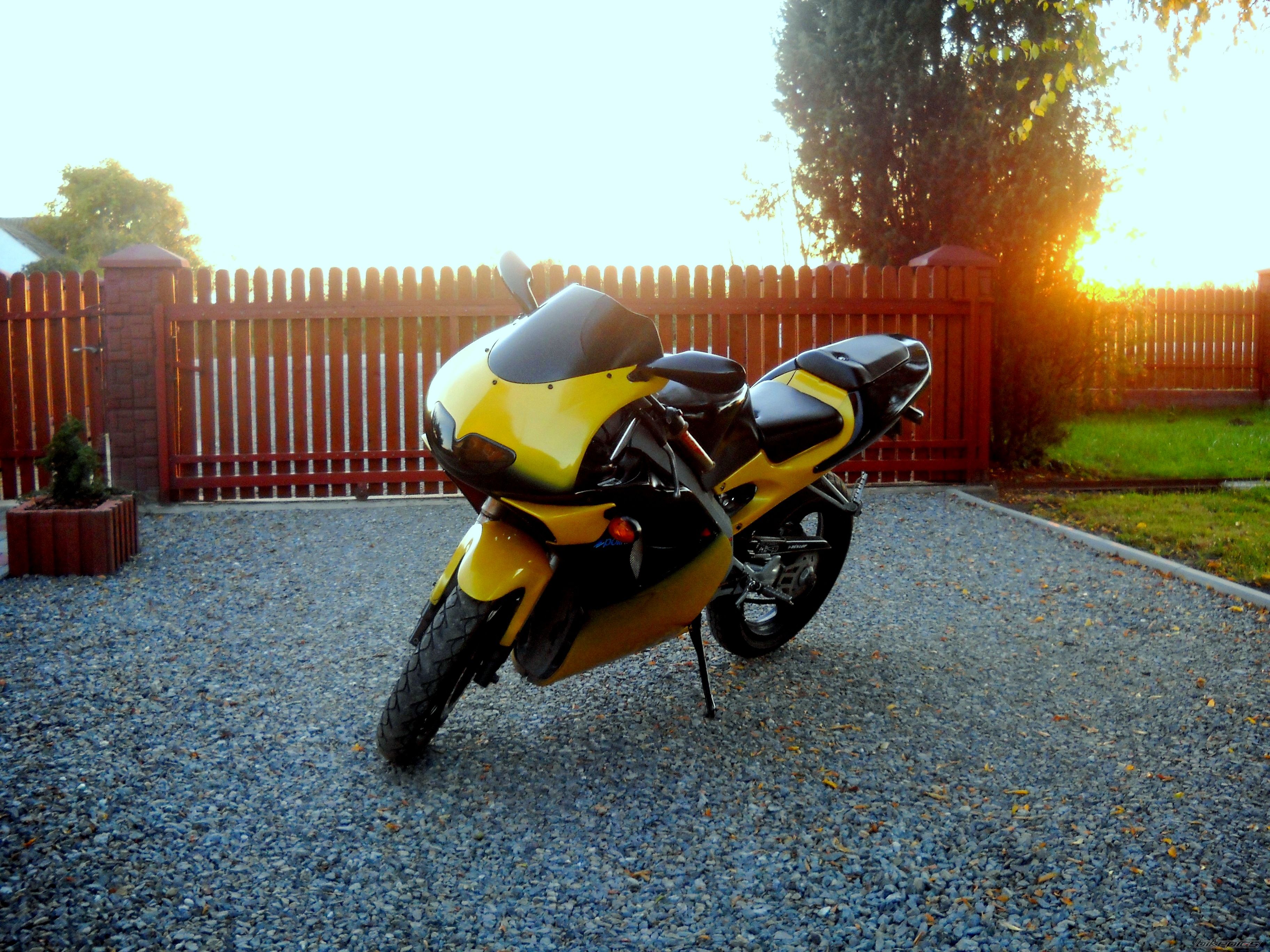 Photo 2534637