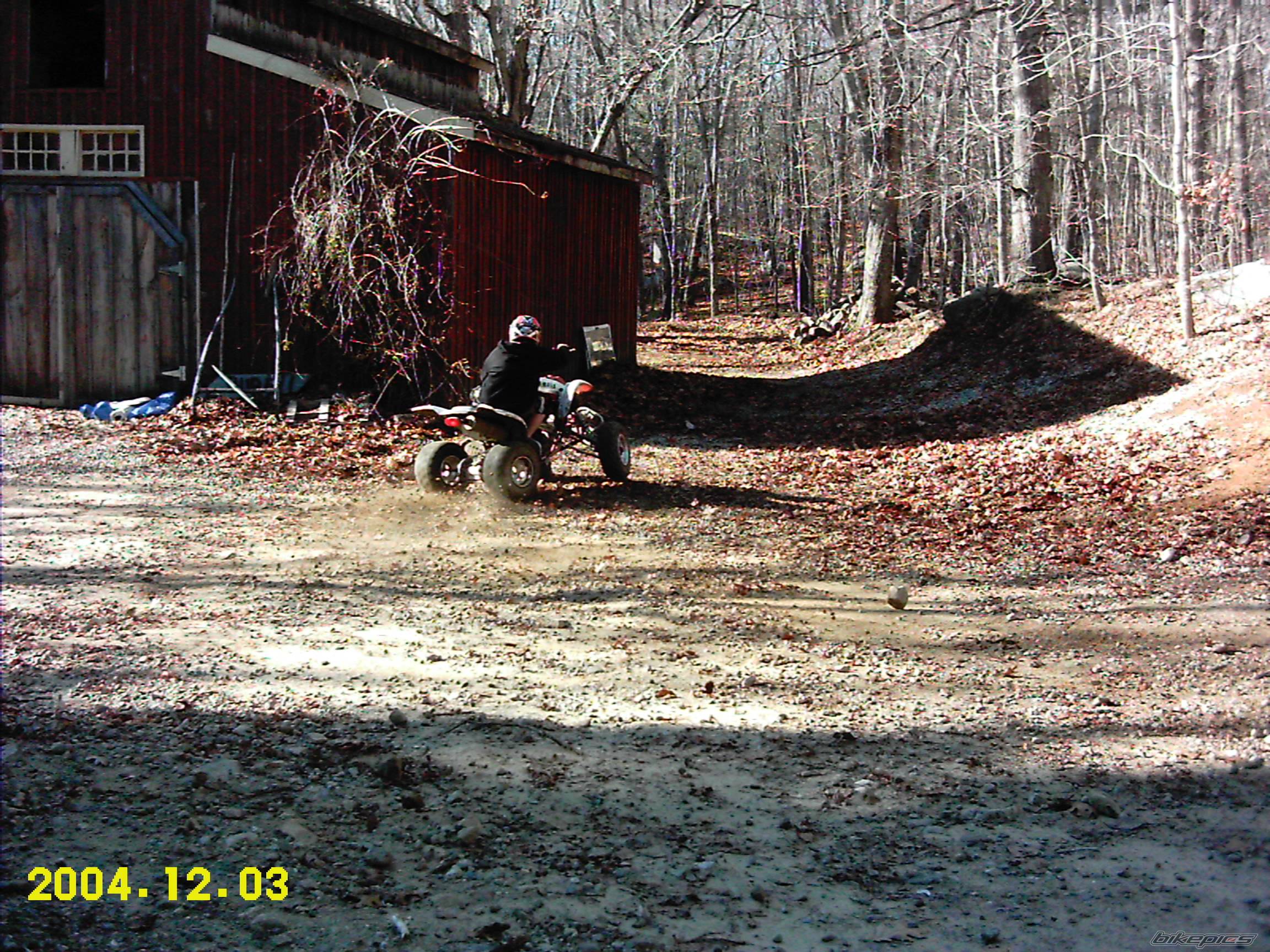 Photo 253464
