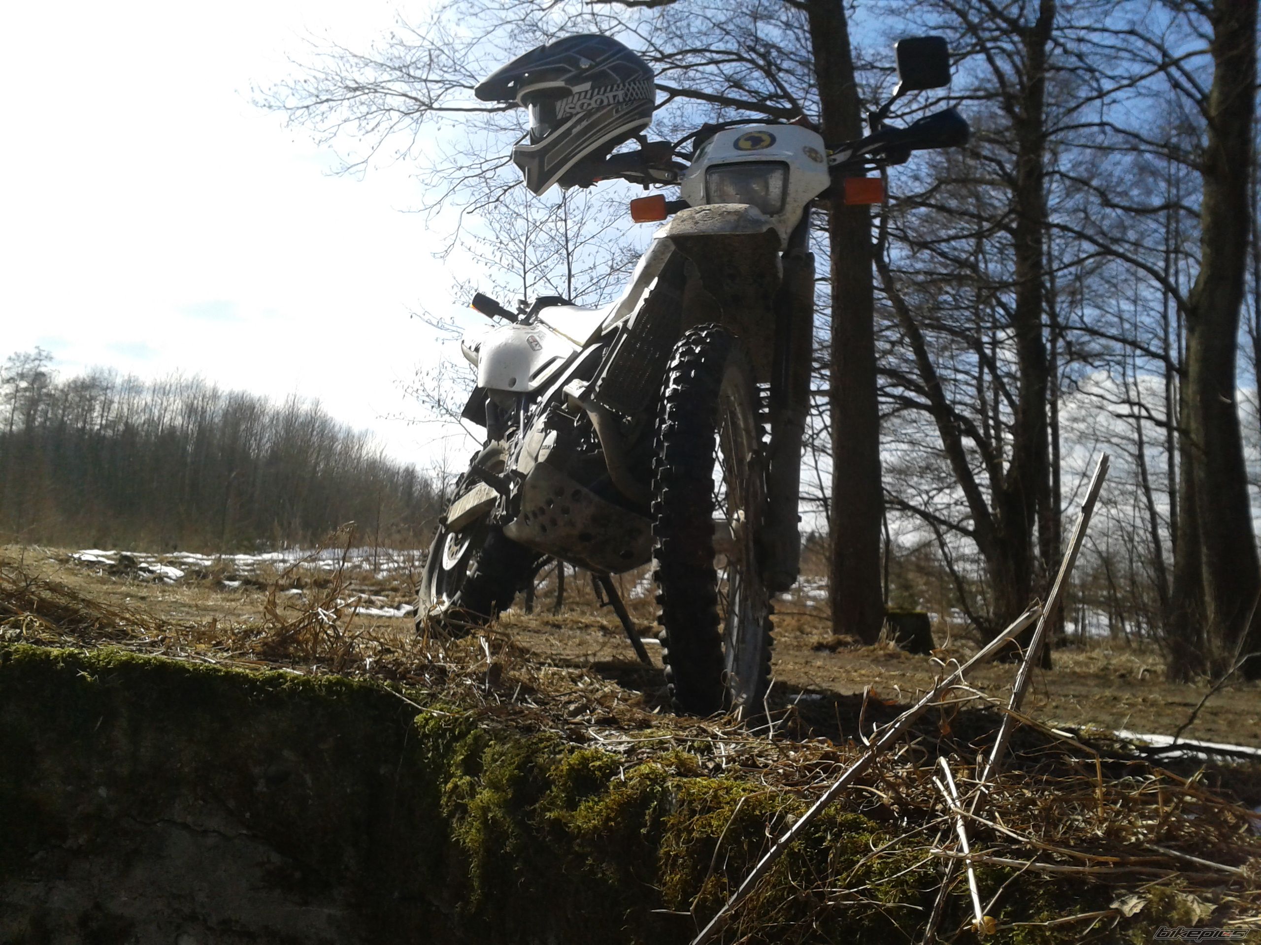Photo 2534642
