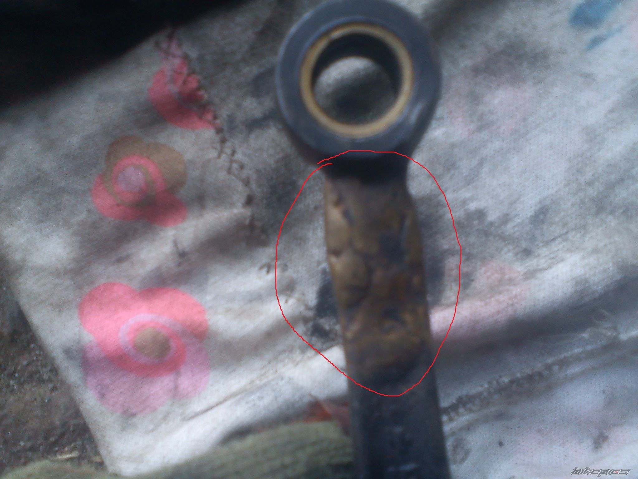 Photo 2534722
