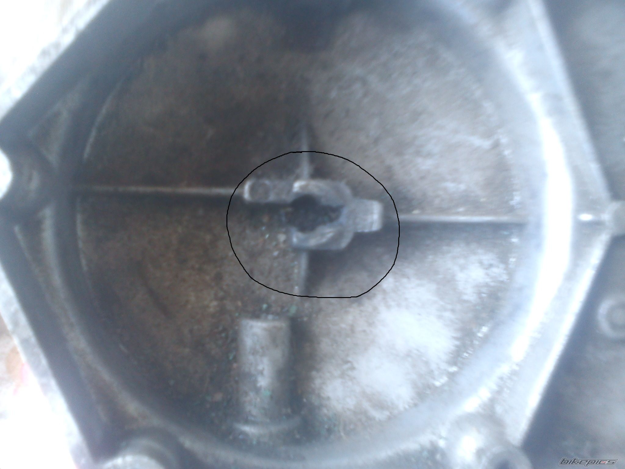 Photo 2534730