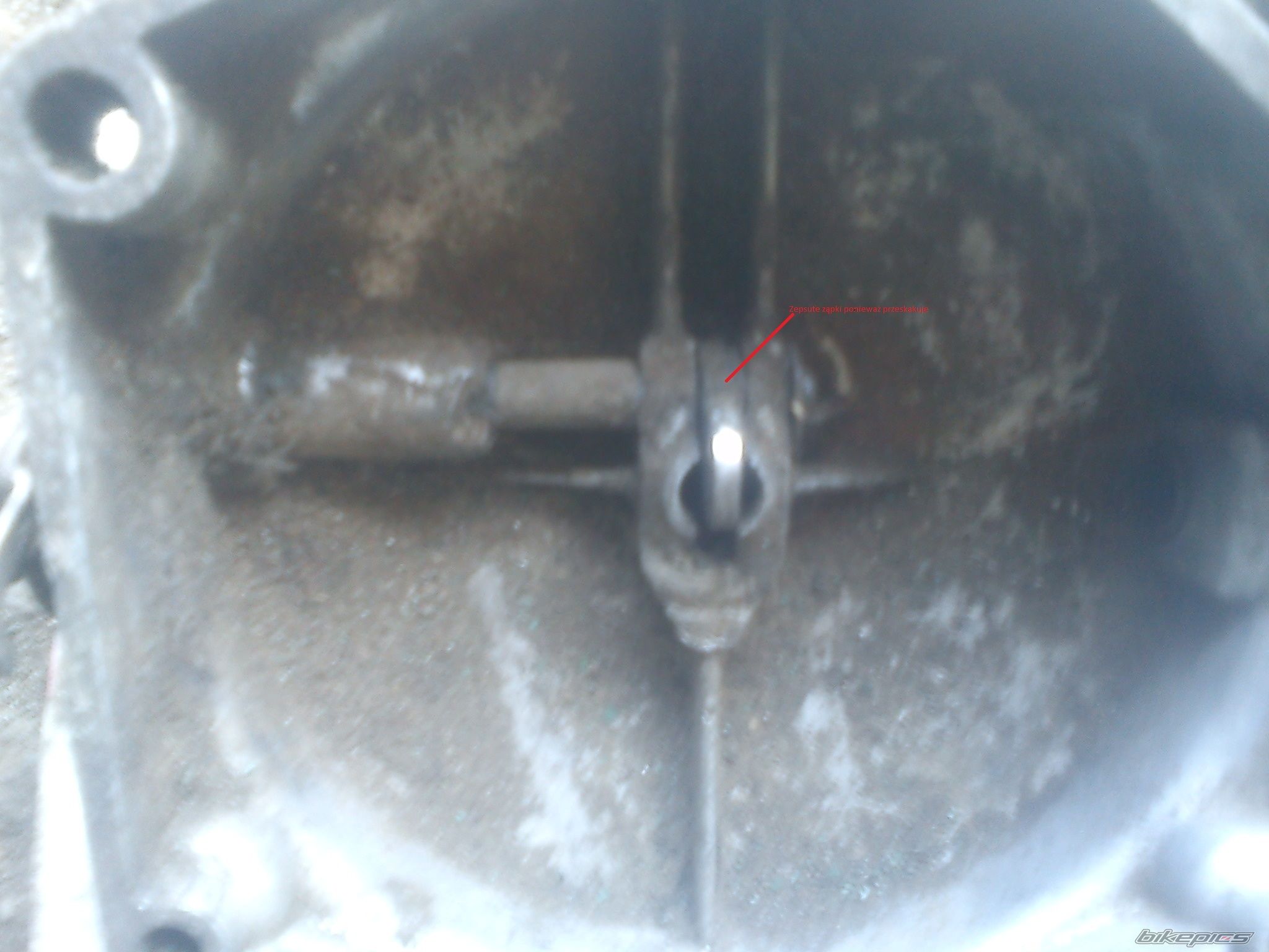 Photo 2534732