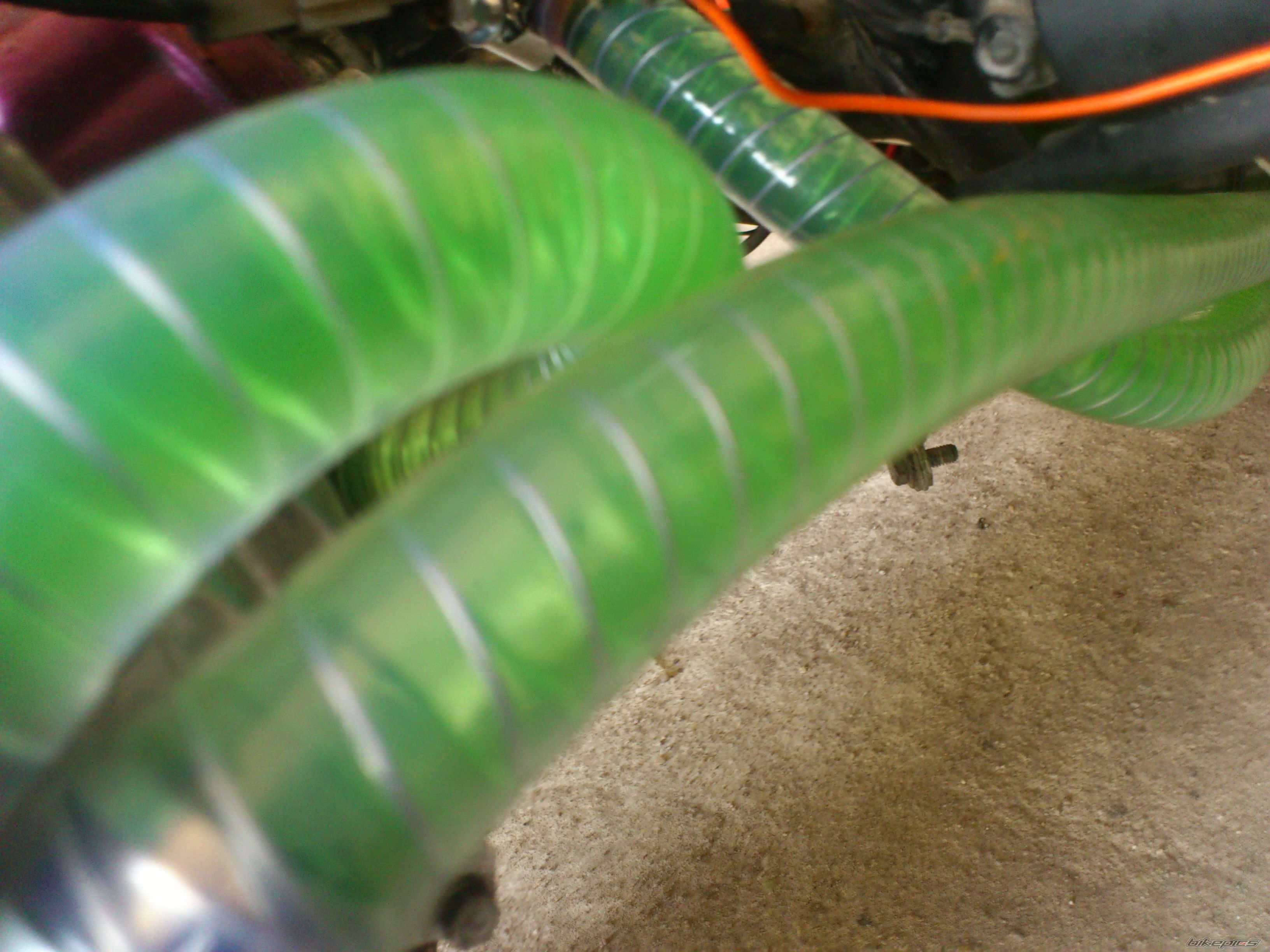 Photo 2534764