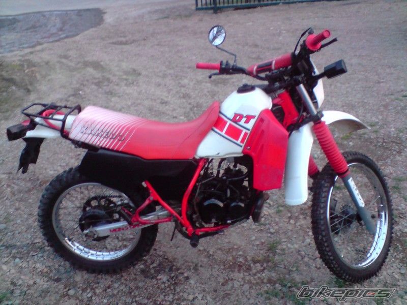 Photo 2534967