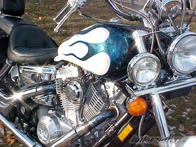 Photo 253518