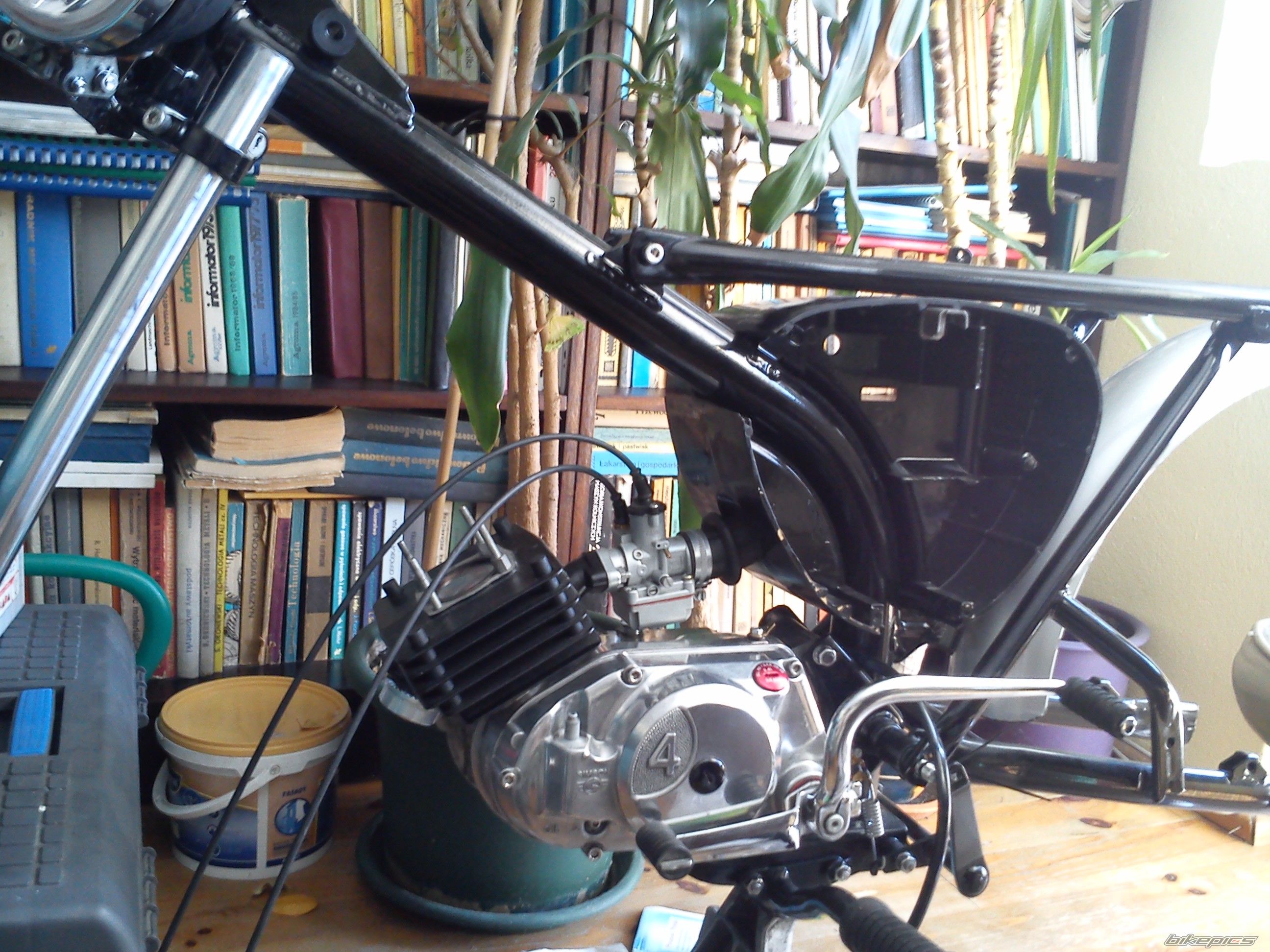 Photo 2535187