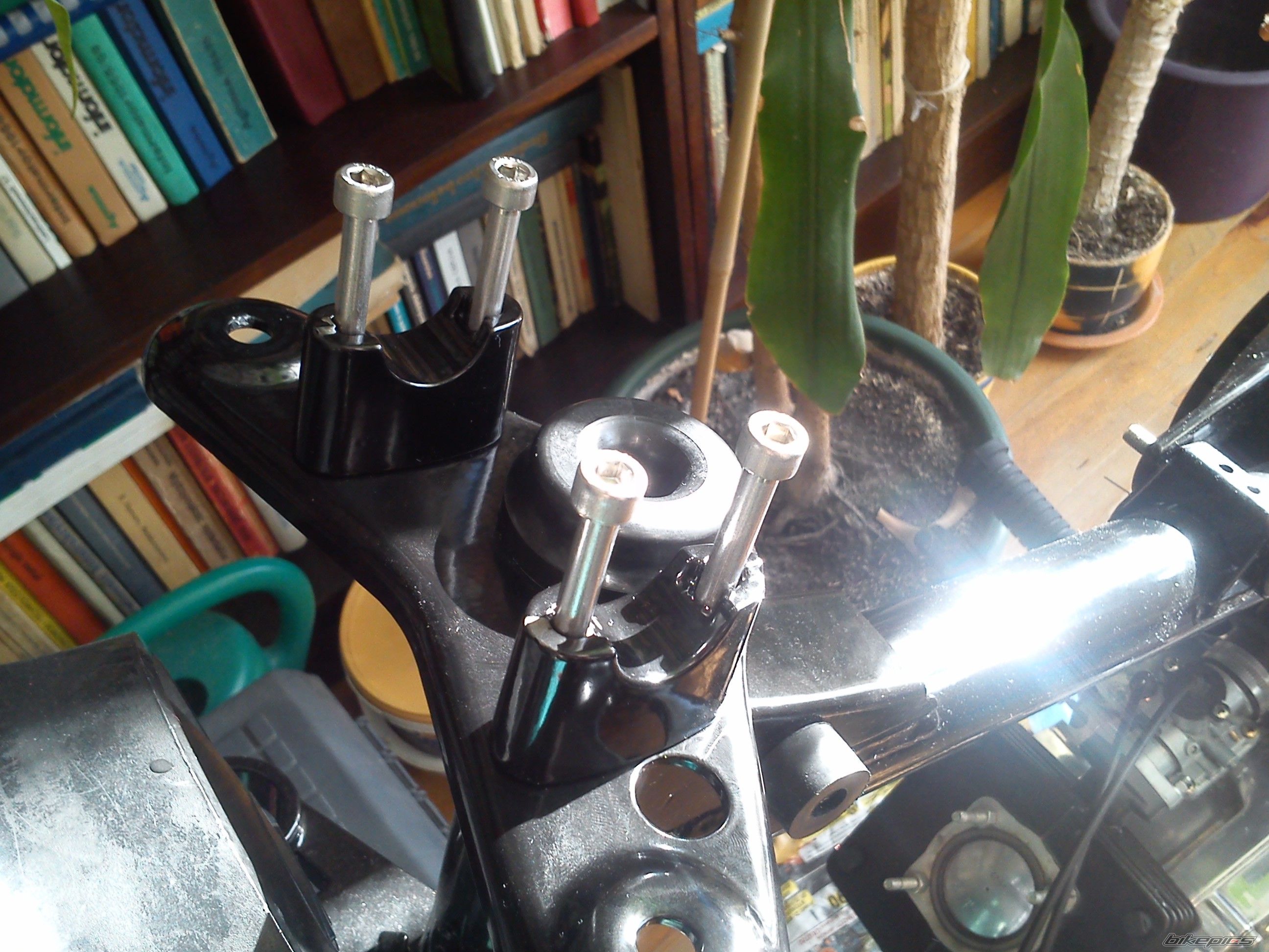 Photo 2535195