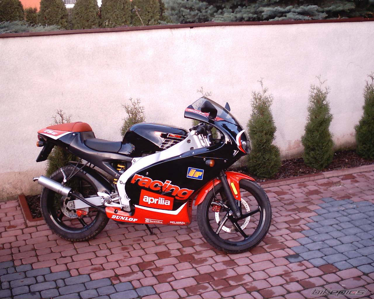 Bike Photo 253523