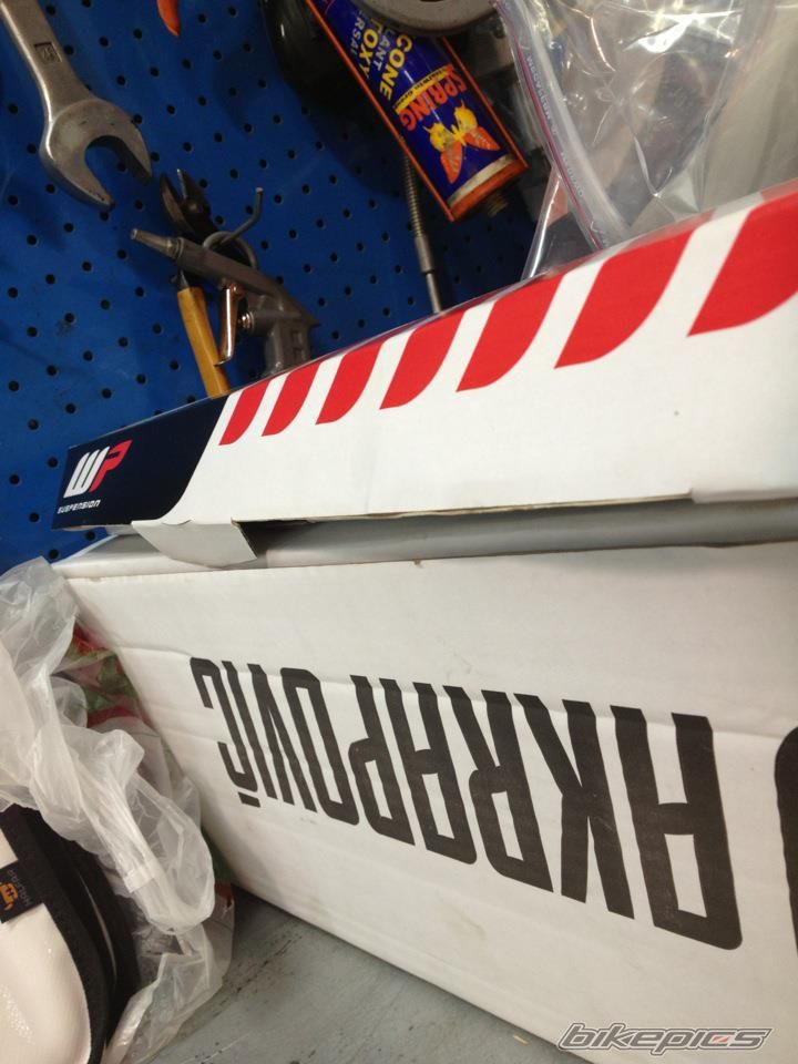 Photo 2535266