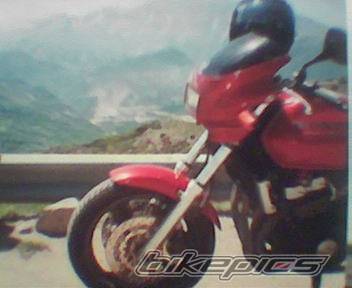 Bike Photo 253527