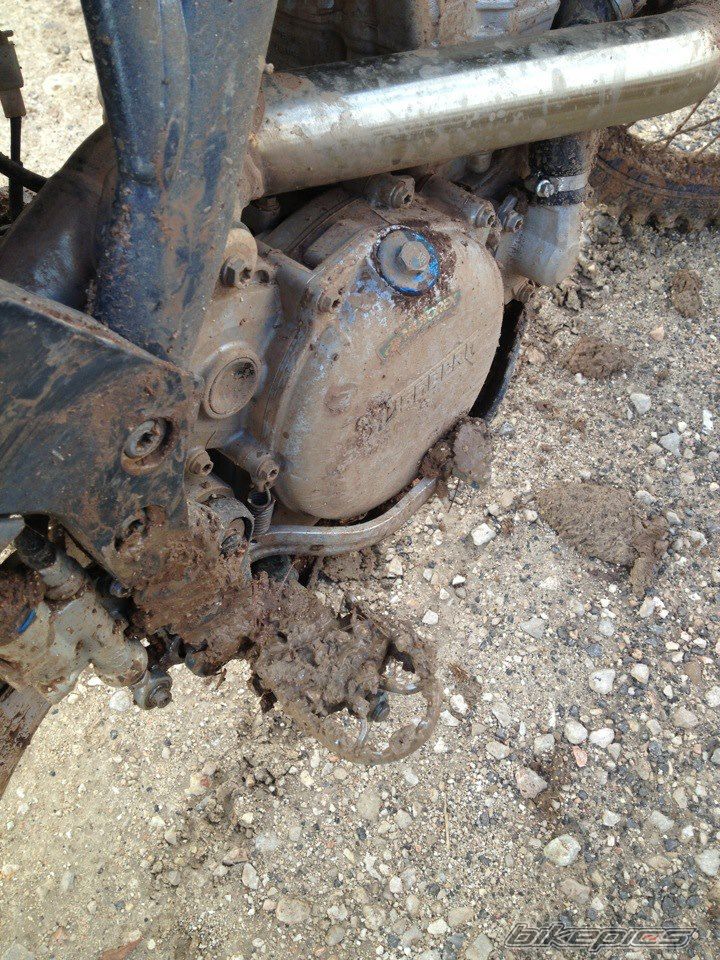 Photo 2535272