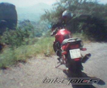 Photo 253530