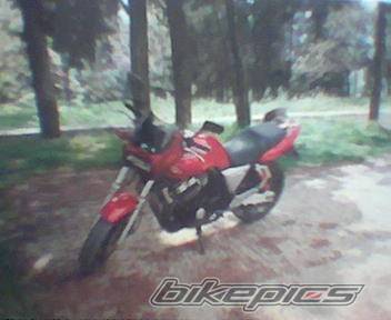 Photo 253532