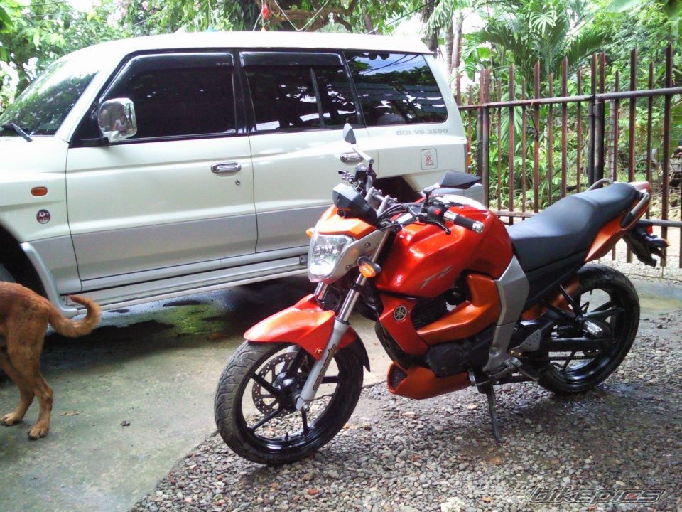 Photo 2535373