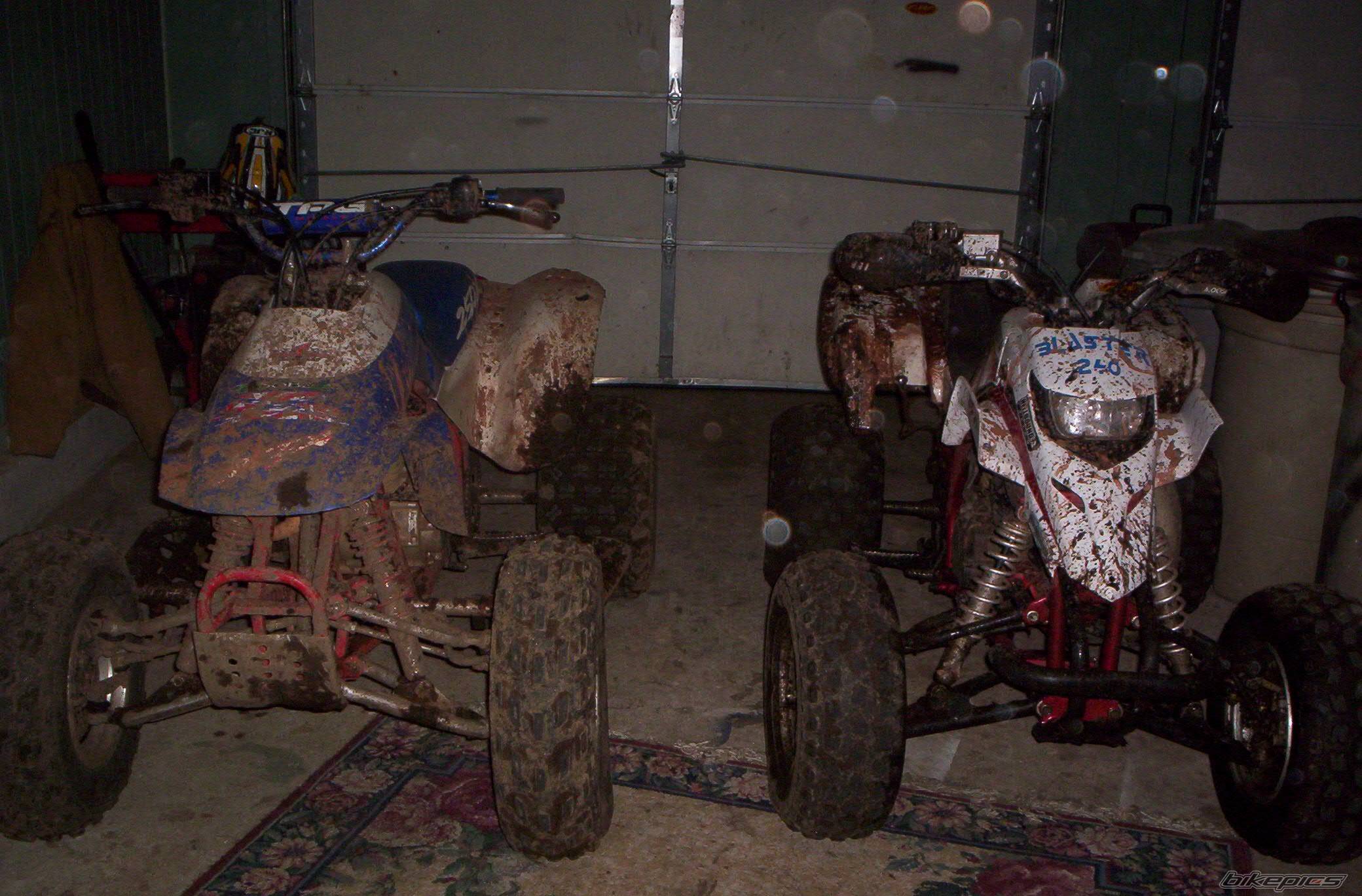 Photo 253538