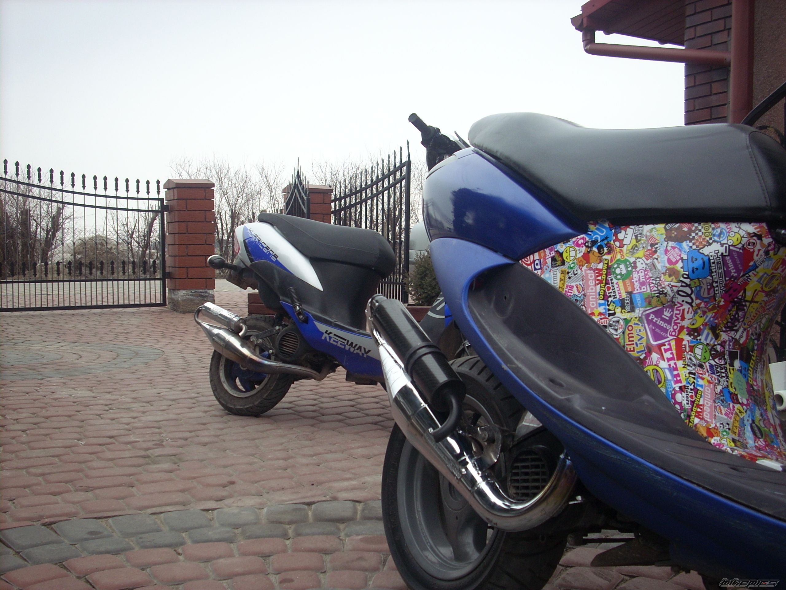 Photo 2535388
