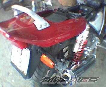 Photo 253542