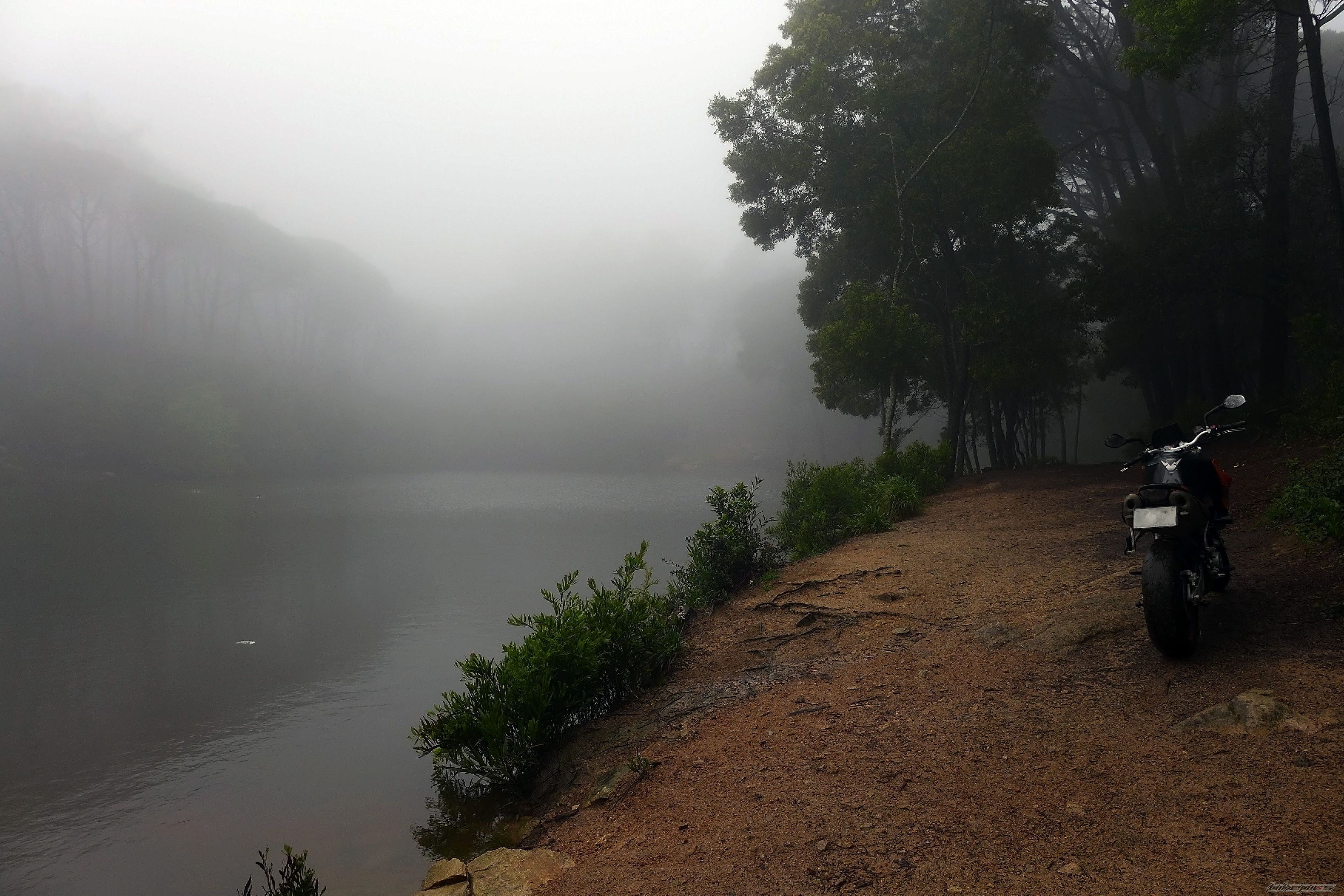 Photo 2535439