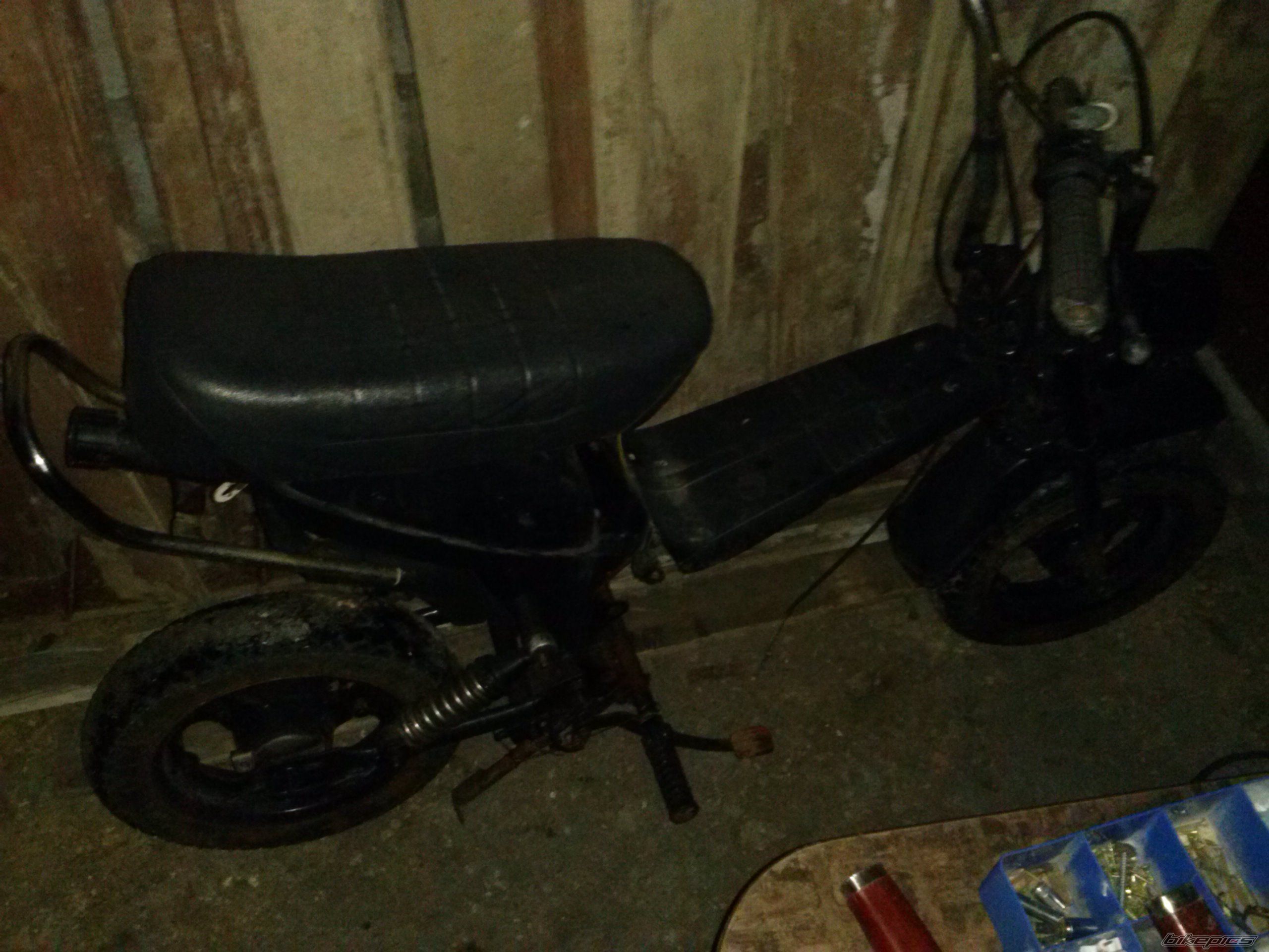 Photo 2535537