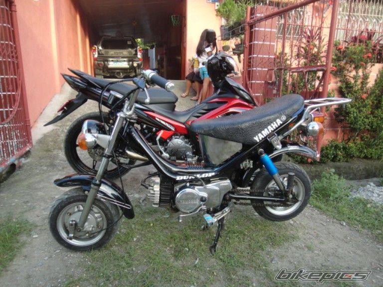 Photo 2535551
