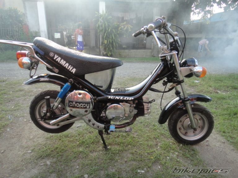 Photo 2535552