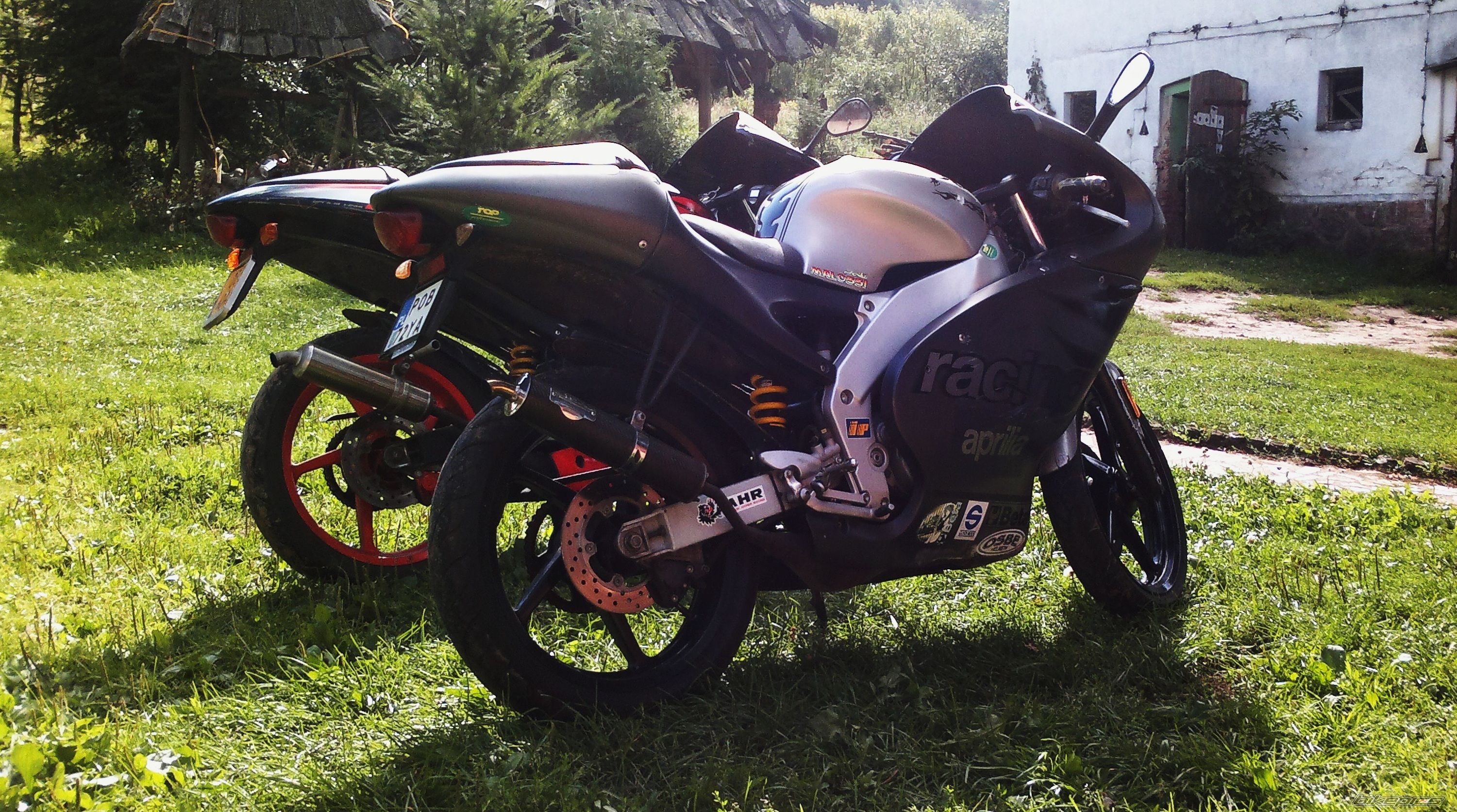 Photo 2535601