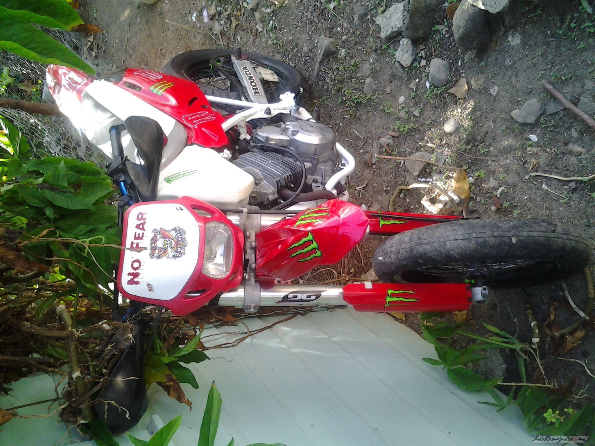 Photo 2535767