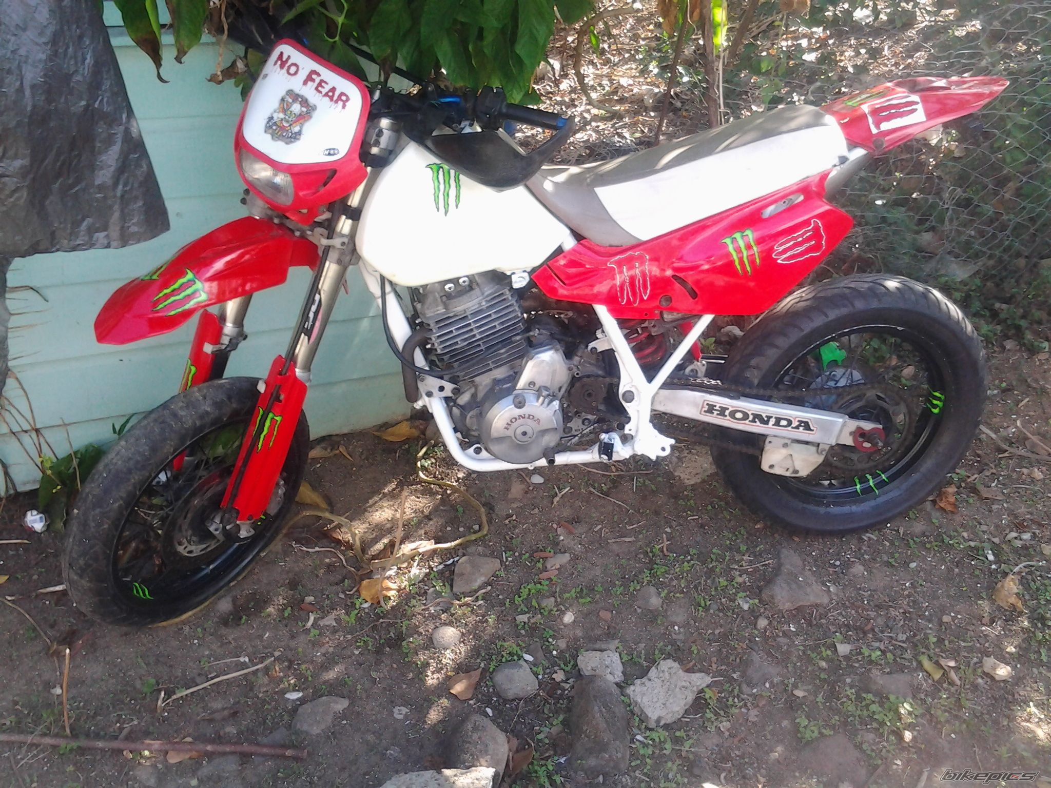 Photo 2535768