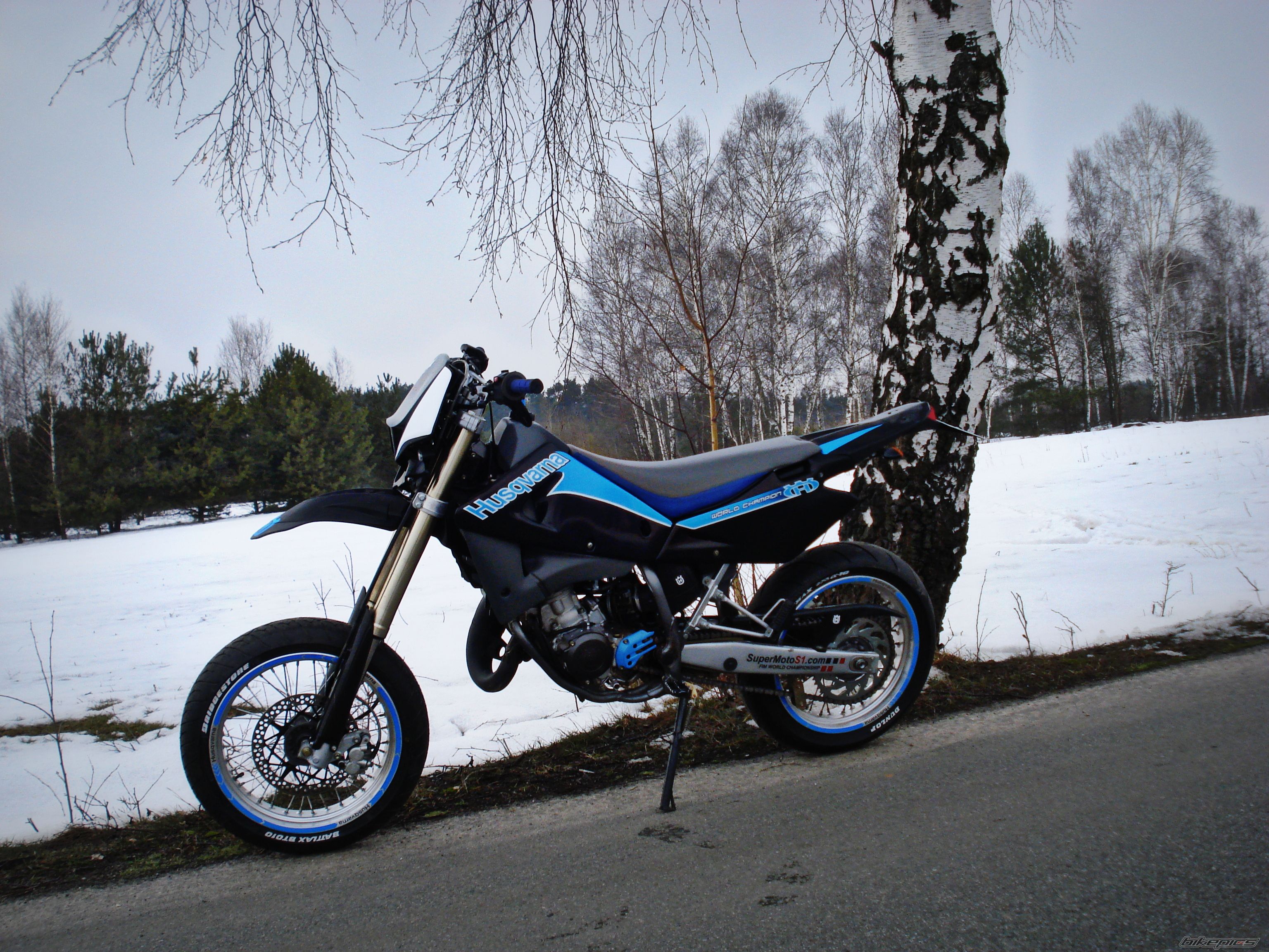 Photo 2535852