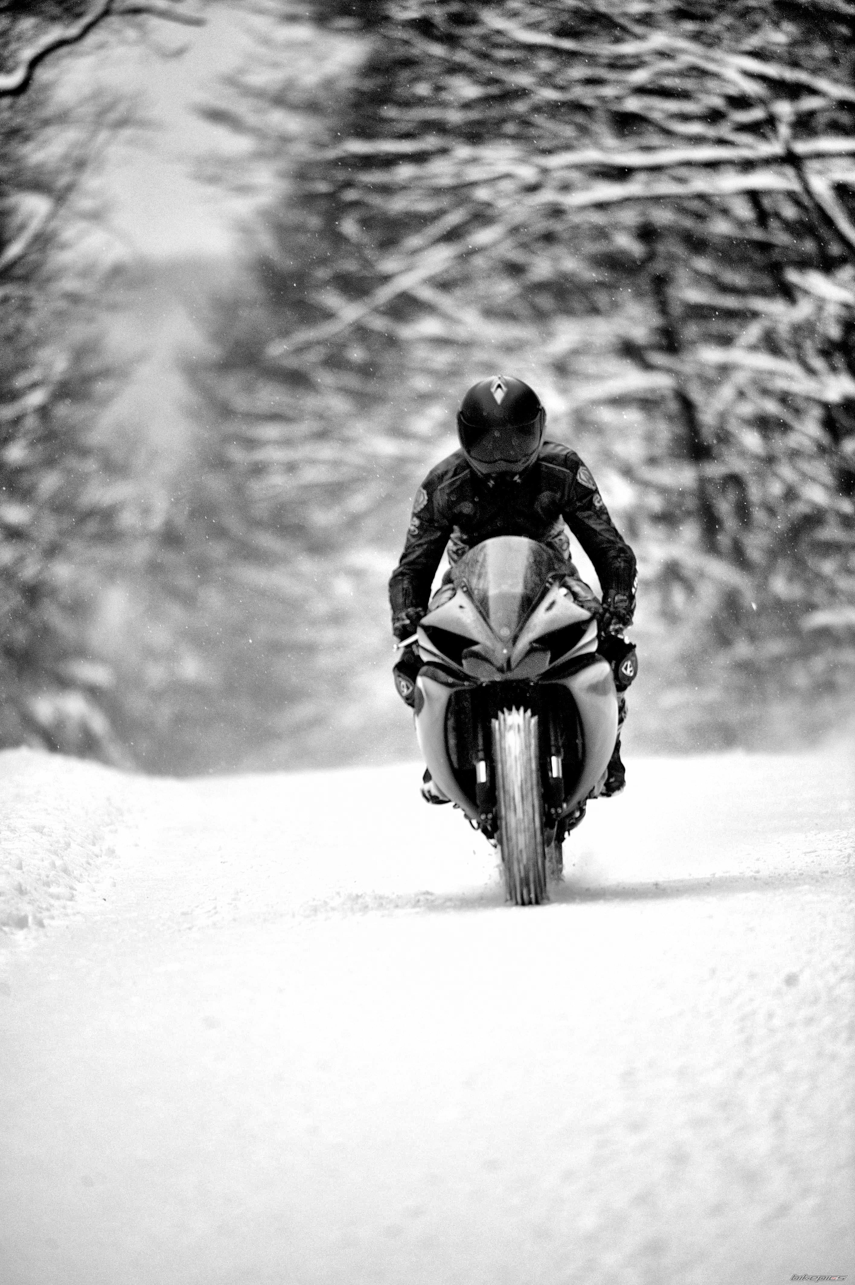 Photo 2535865