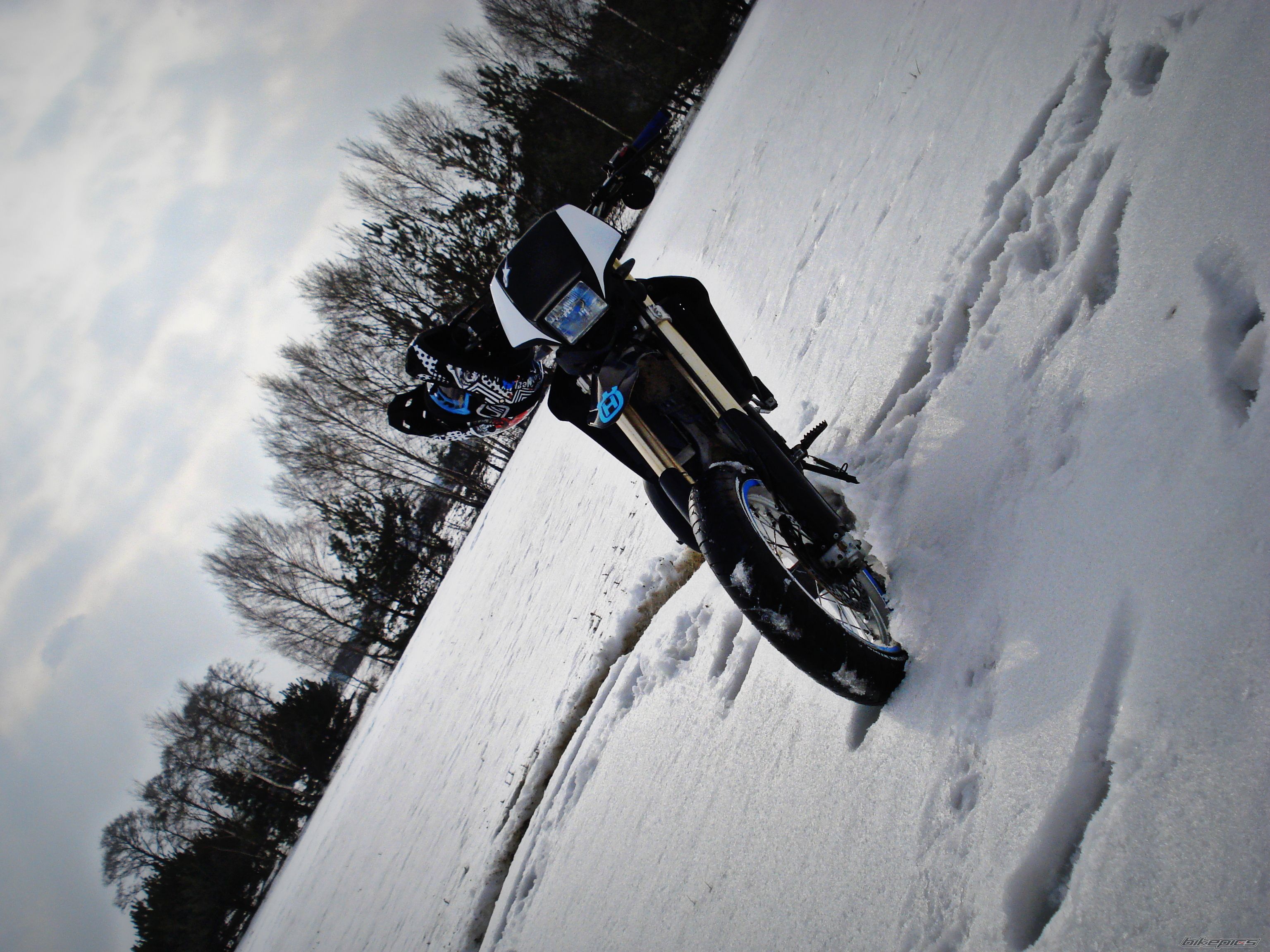 Photo 2535870