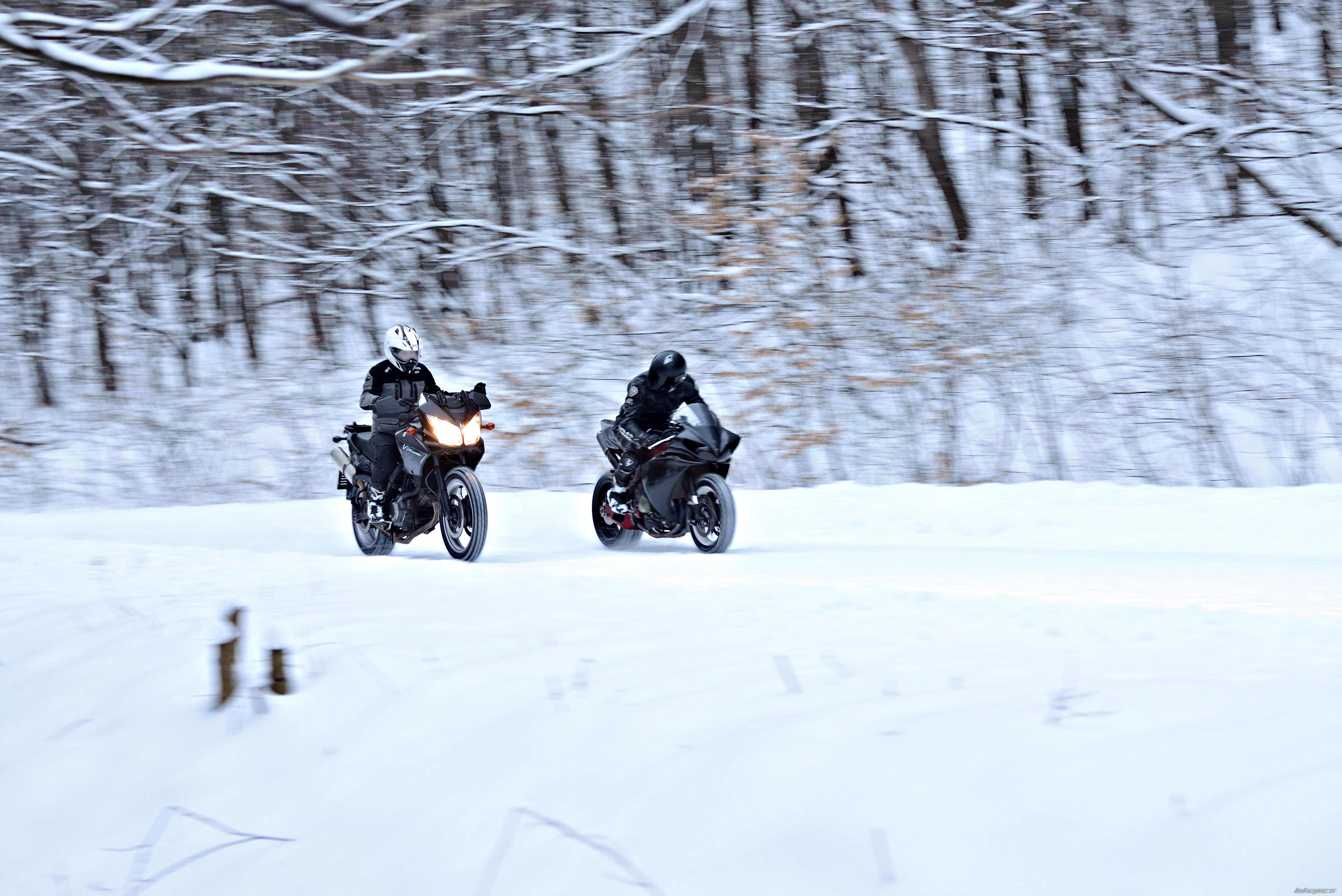 Photo 2535876