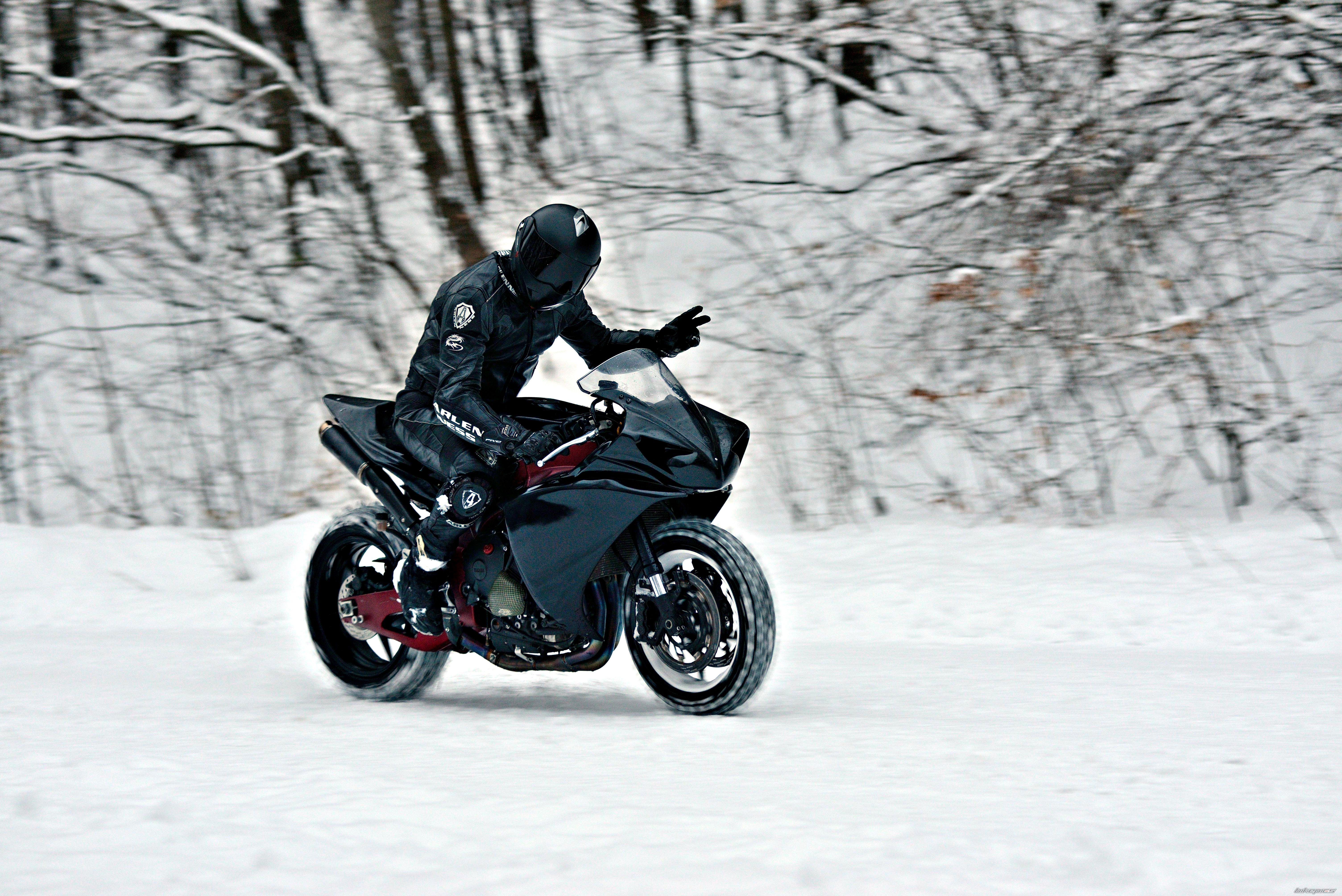 Photo 2535877
